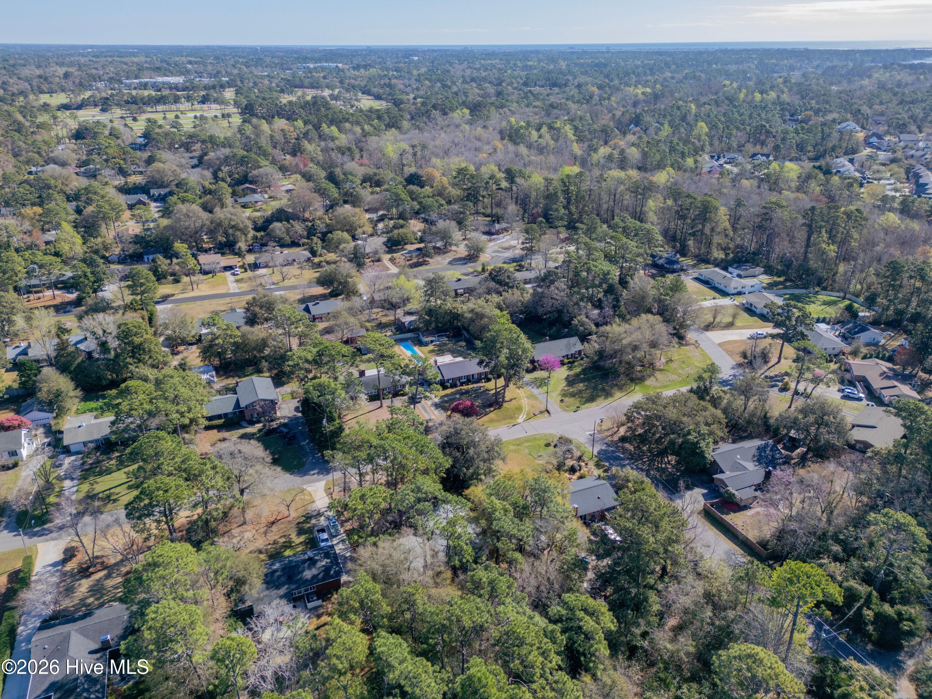 100560709 | Photo 34