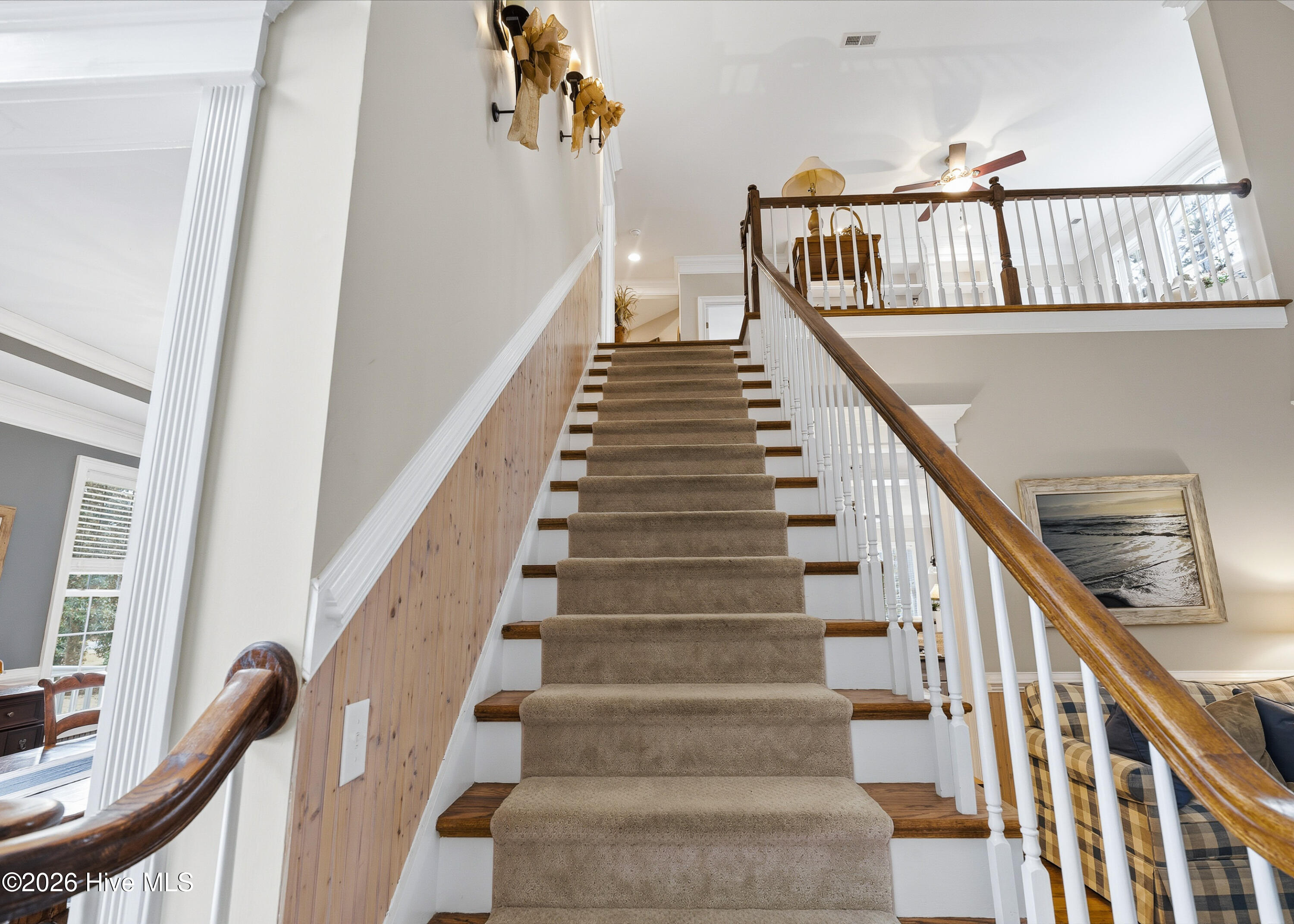 100558531 | Photo 32