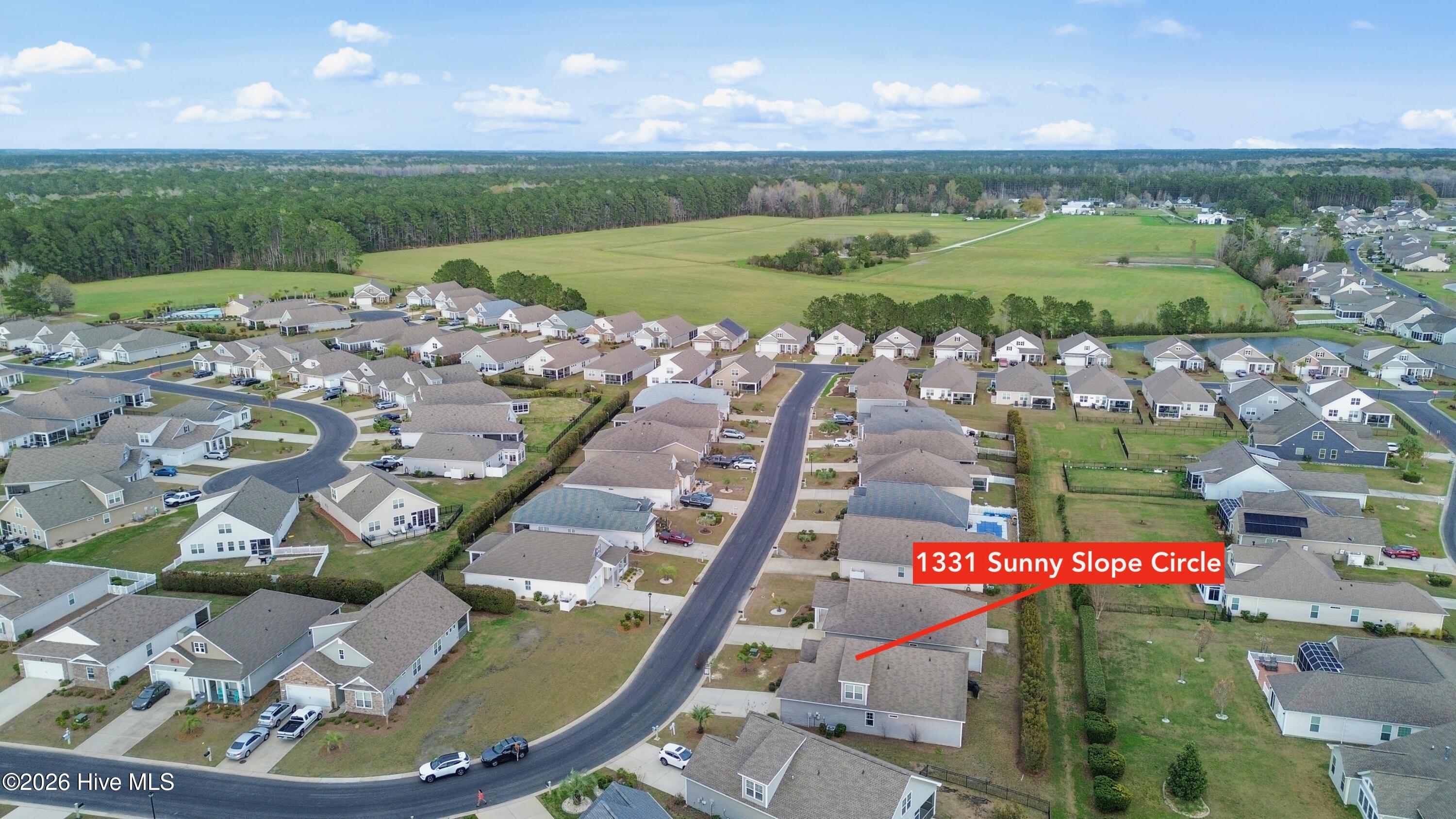 100560000 | Photo 29