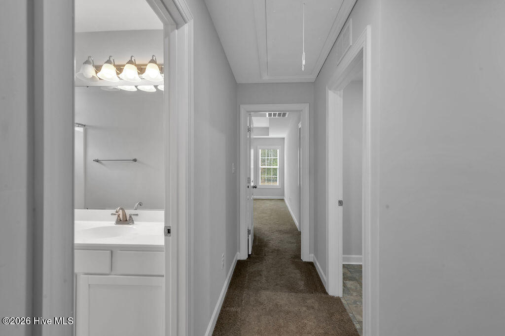 100558571 | Photo 15