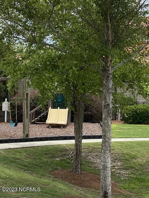 100533278 | Photo 31