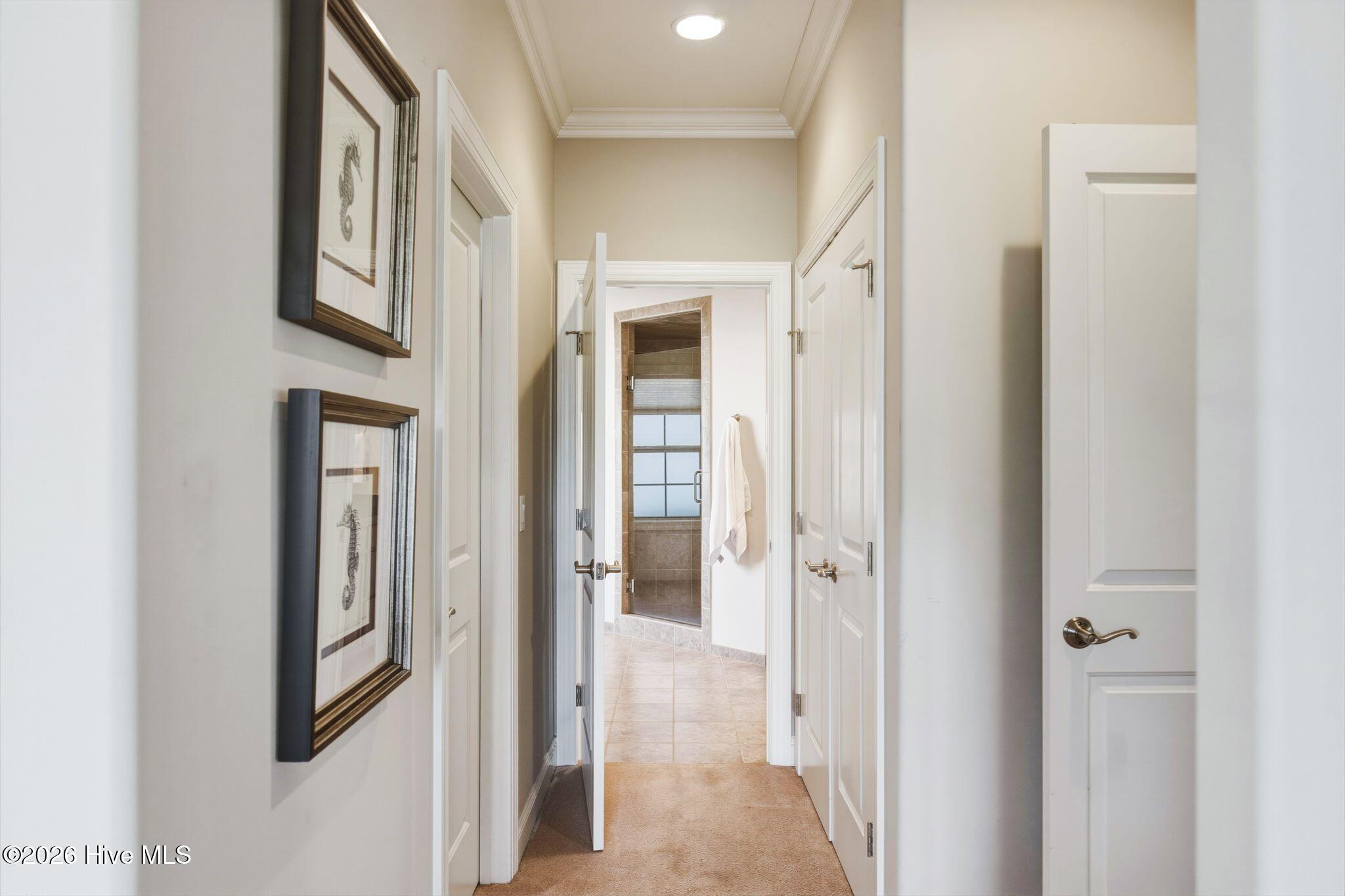 100564432 | Photo 78