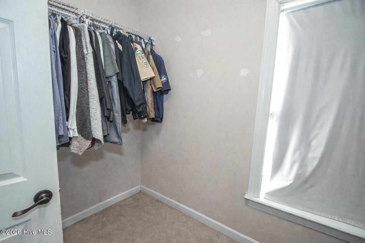 100553026 | Photo 47