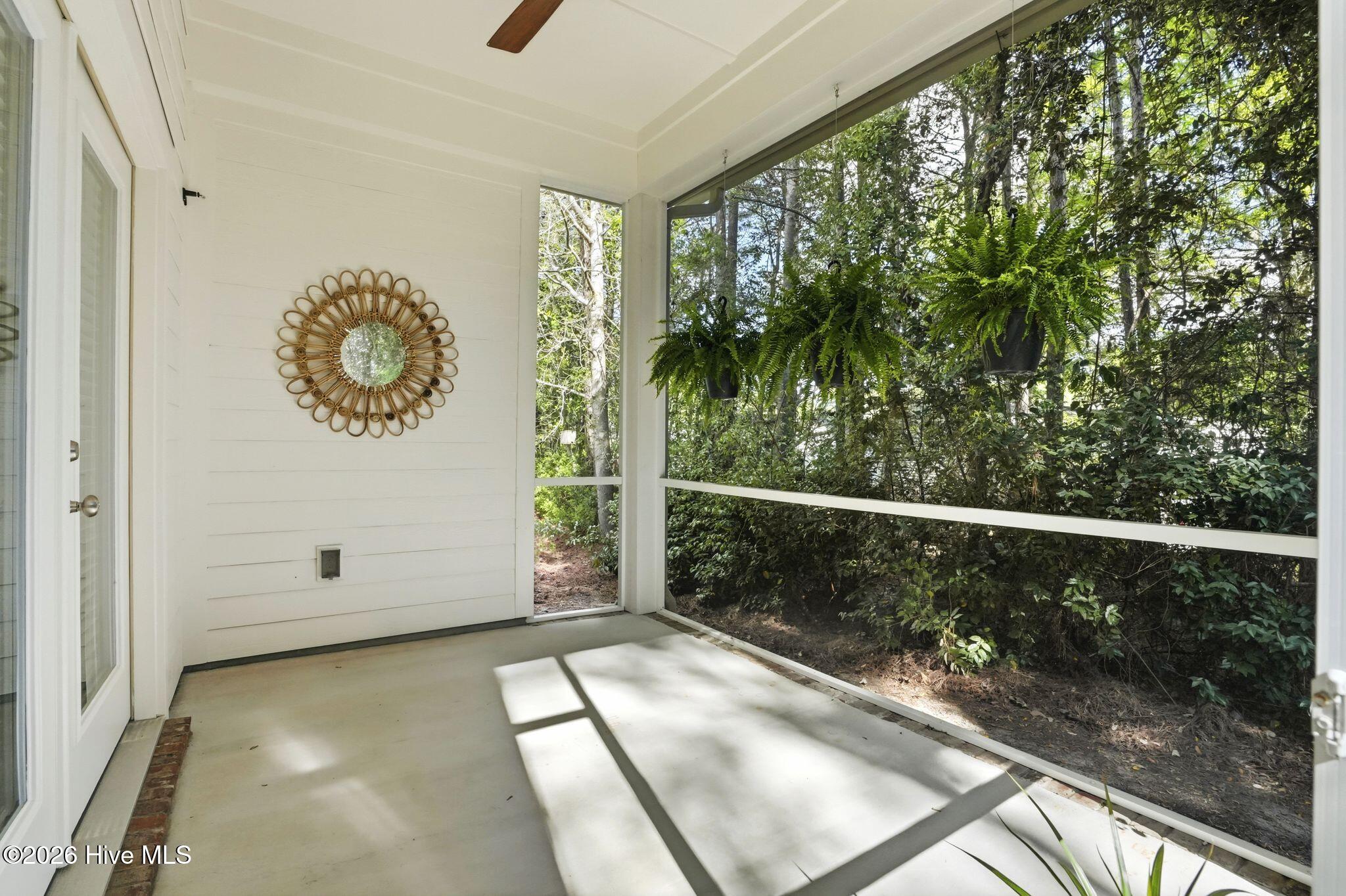 100565220 | Photo 50