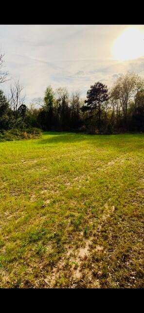 2405 HWY 88, Hephzibah, GA, 30815