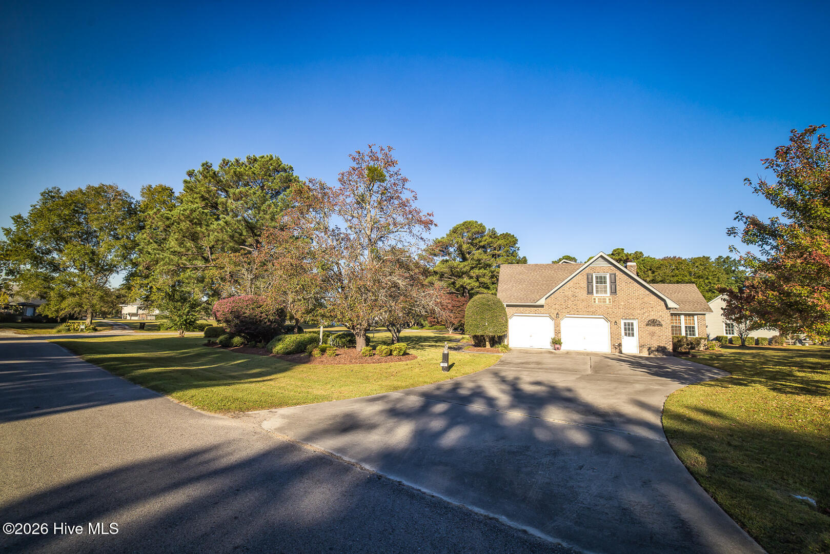 100570429 | Photo 11