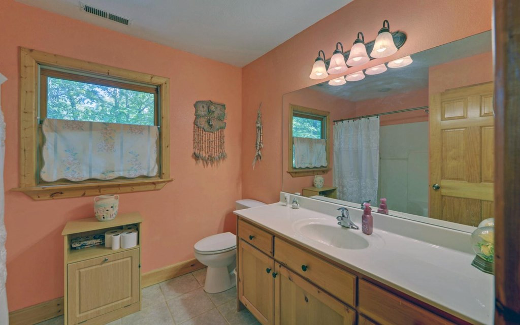 164 Dew Drop Lane, Murphy, NC 28906 Listing Photo  9
