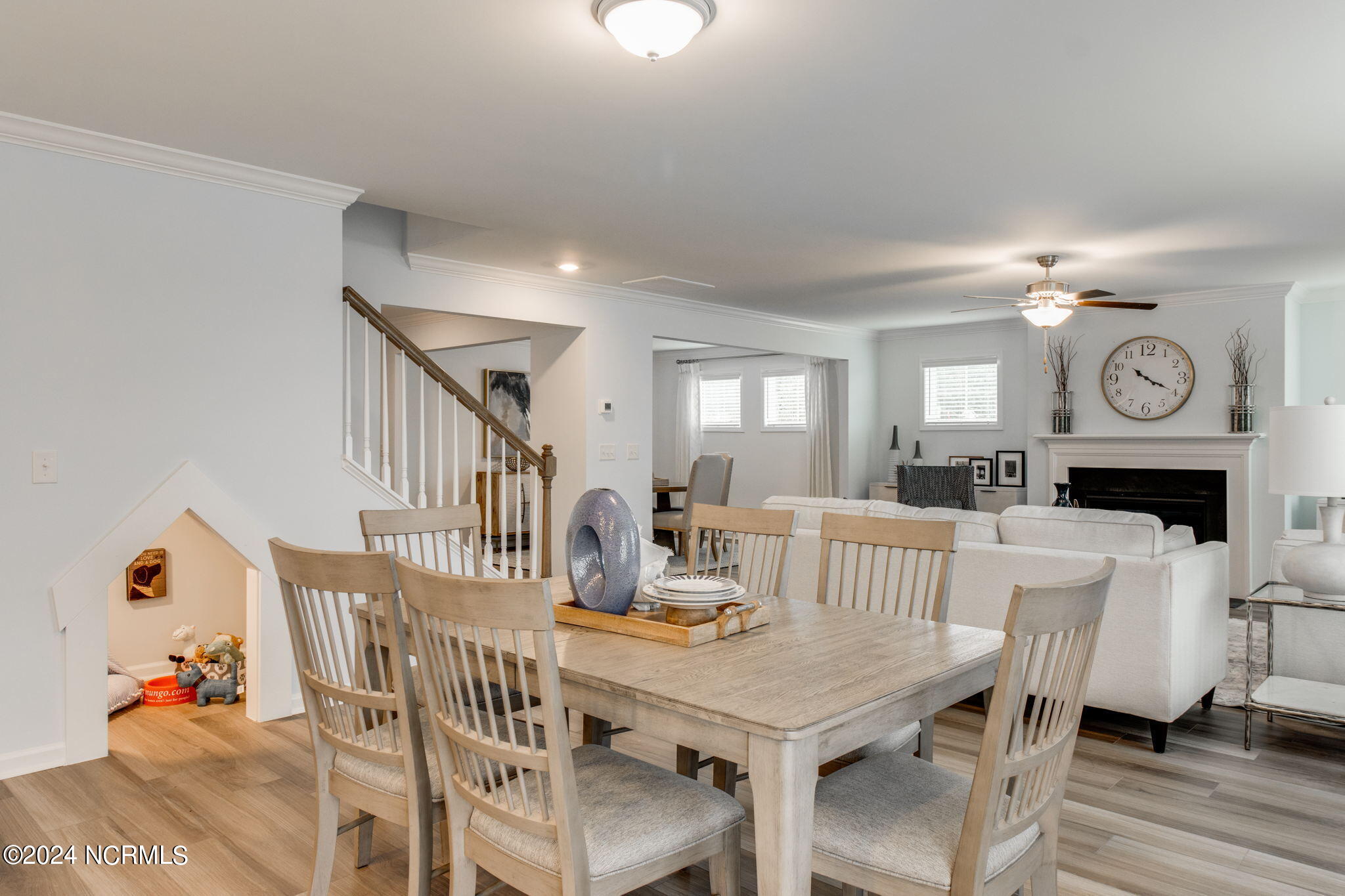 100556823 | Photo 23