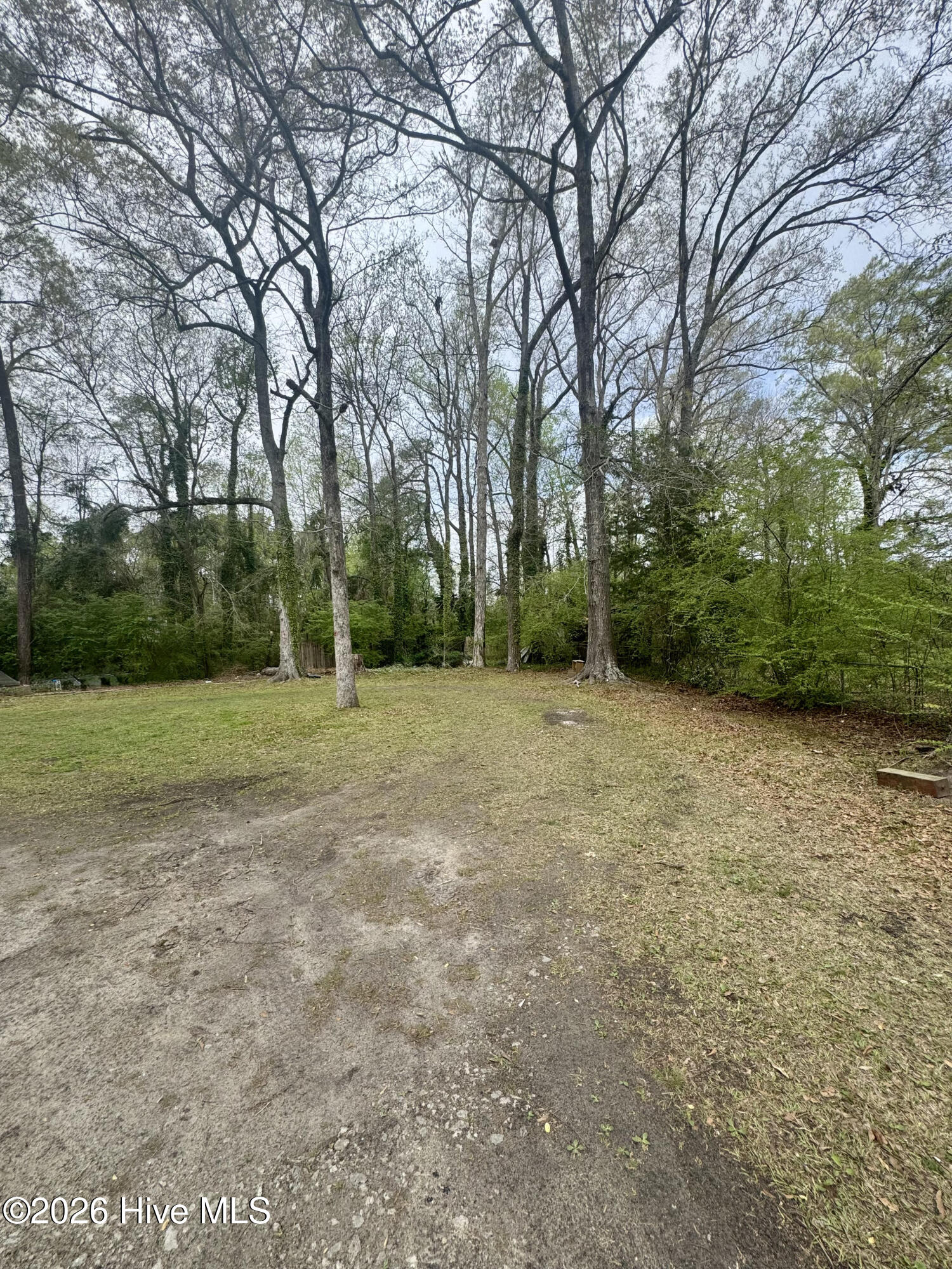 100562045 | Photo 13