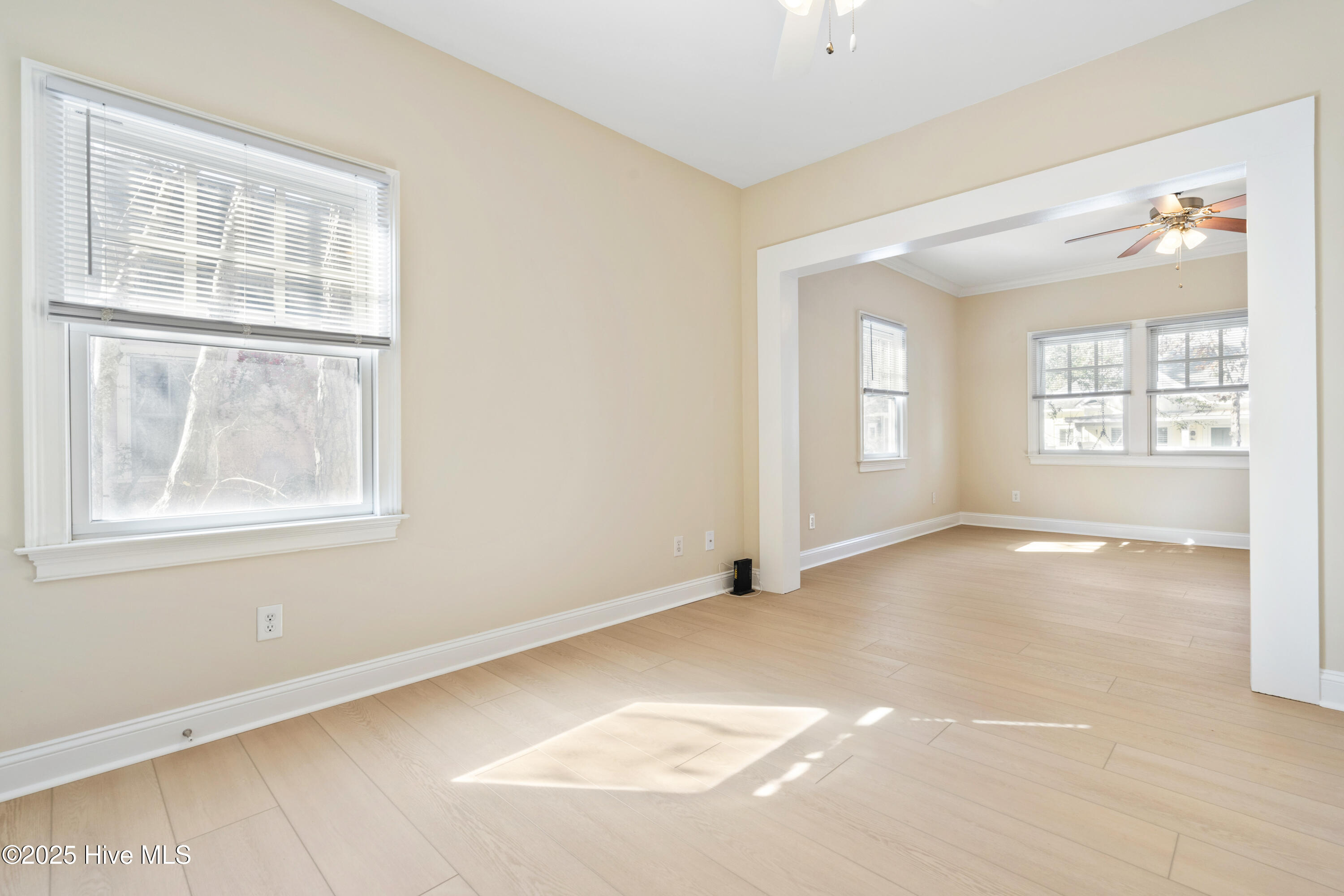 100543088 | Photo 10