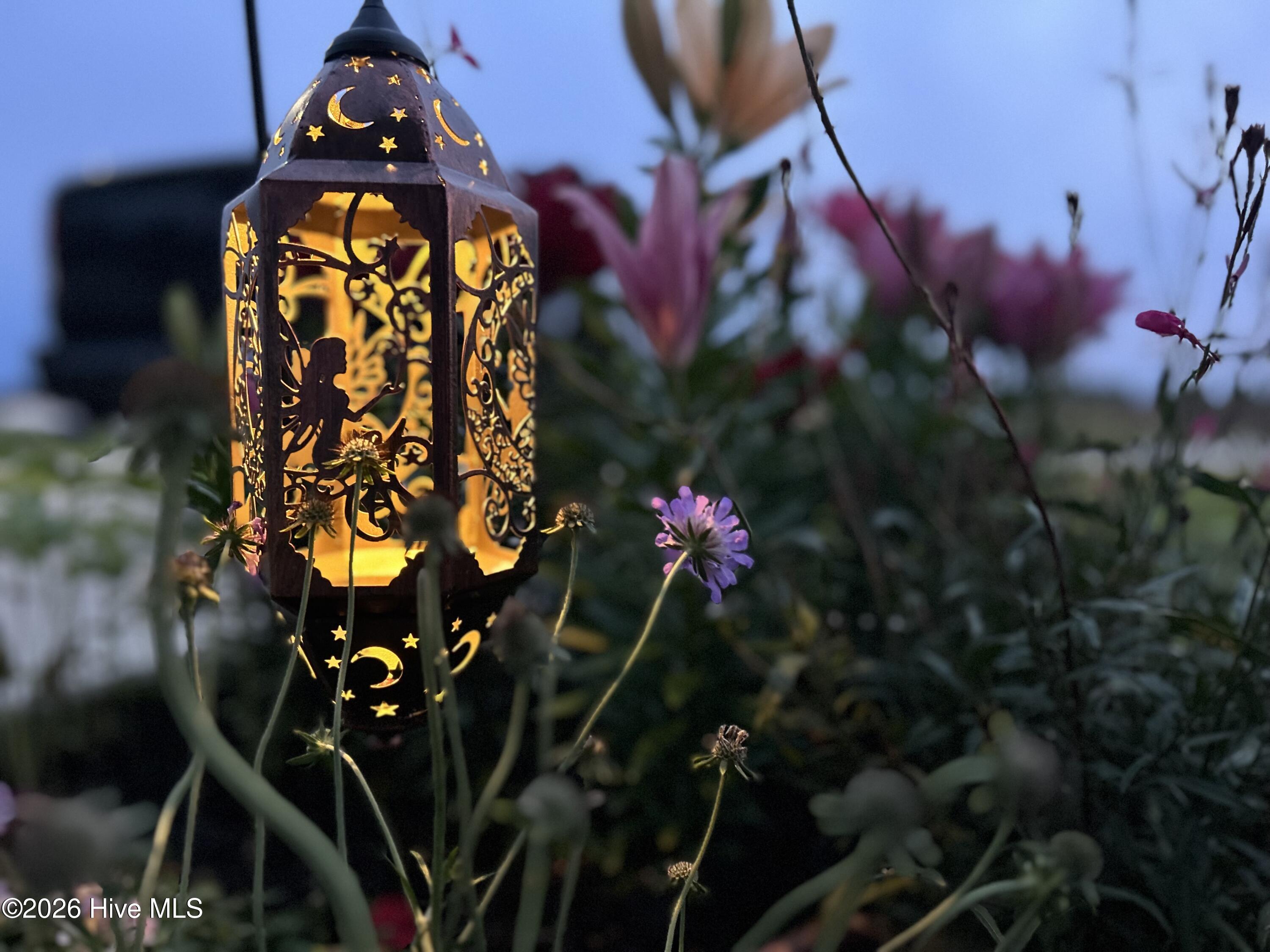 100549687 | Photo 71