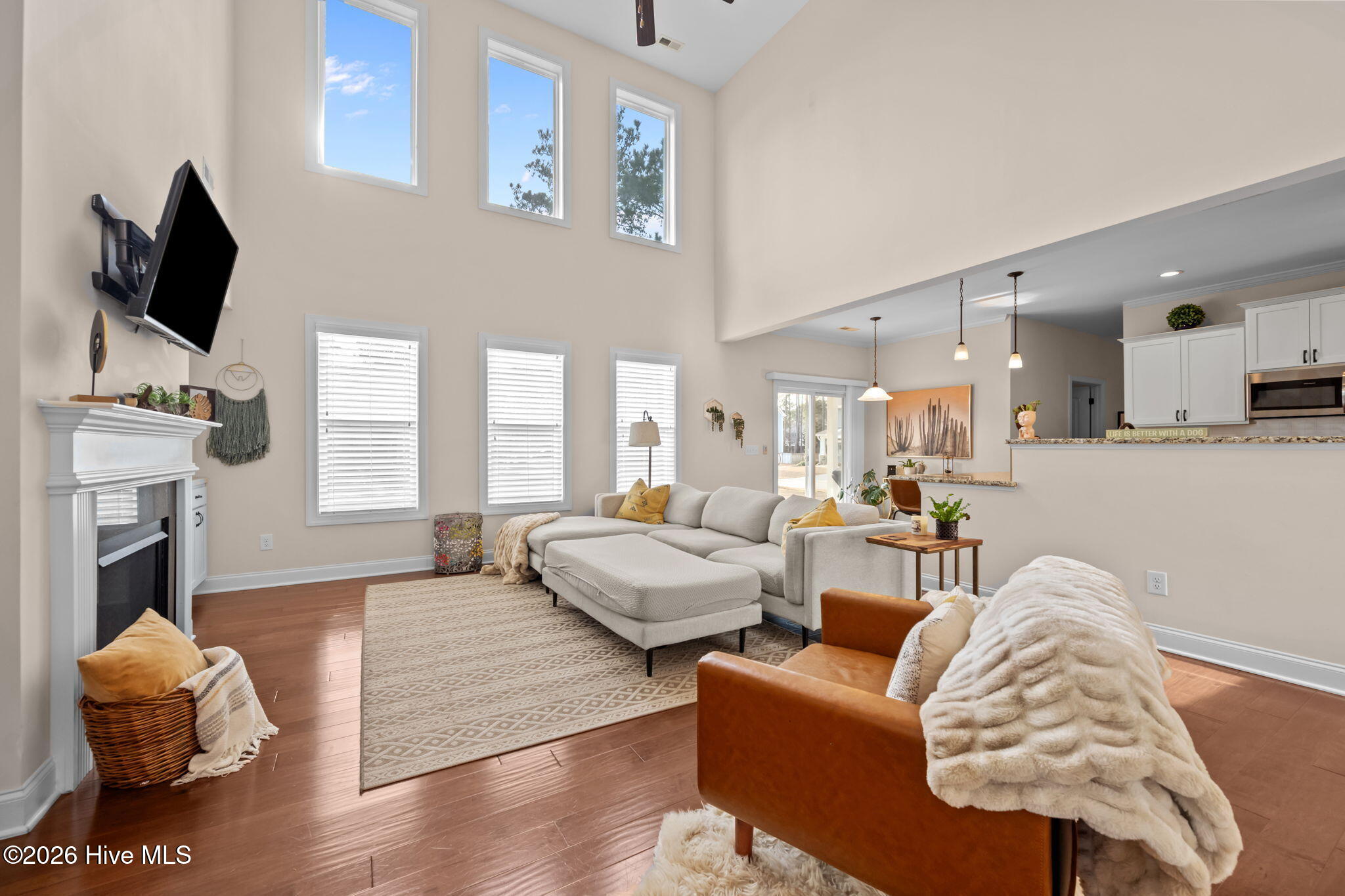 100556667 | Photo 11