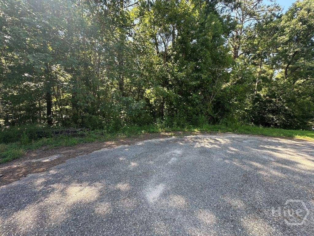 0 River Bend, Carlton, Georgia, 0 ,Land,For sale,River Bend,CL361882 0 River Bend, Carlton, Georgia, 0 ,Land,For sale,River Bend,CL361882