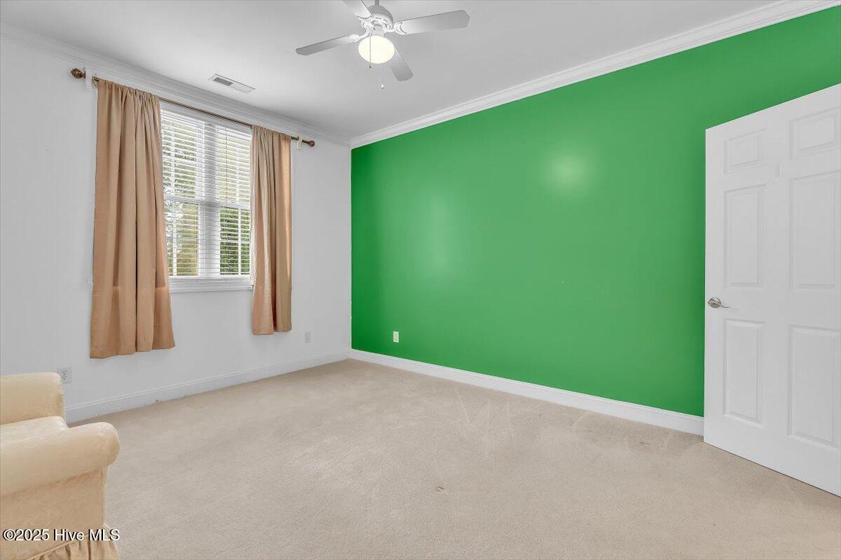 100534566 | Photo 72