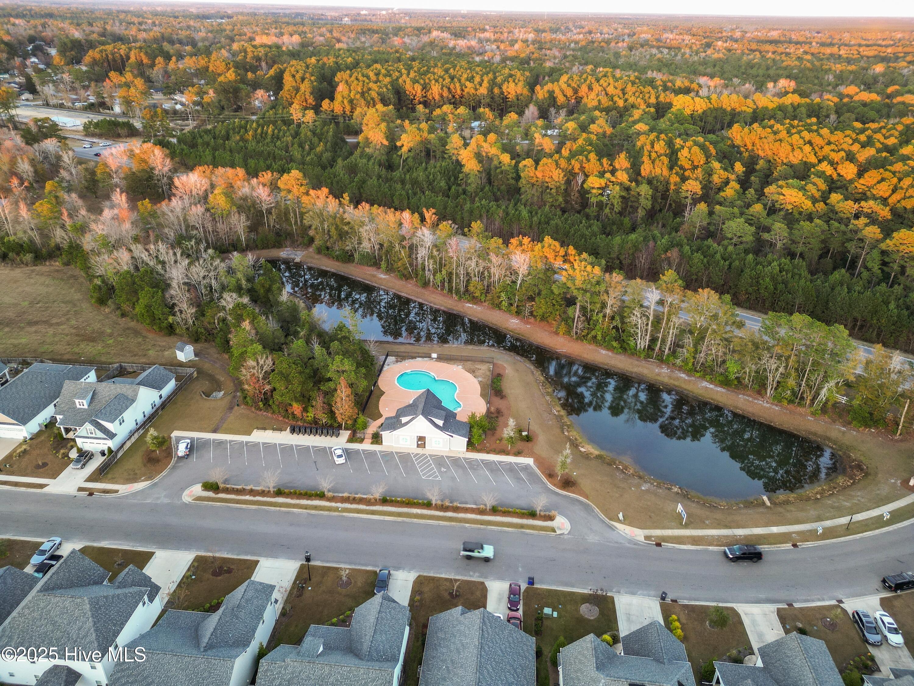 100539123 | Photo 57