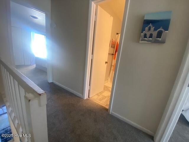 100530134 | Photo 30