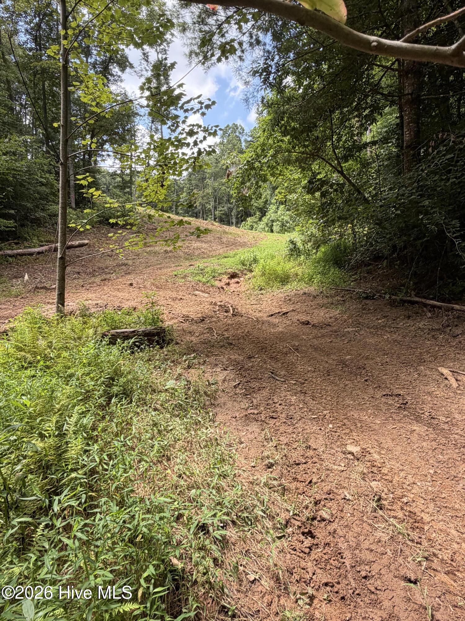 Listing Photo 100595985
