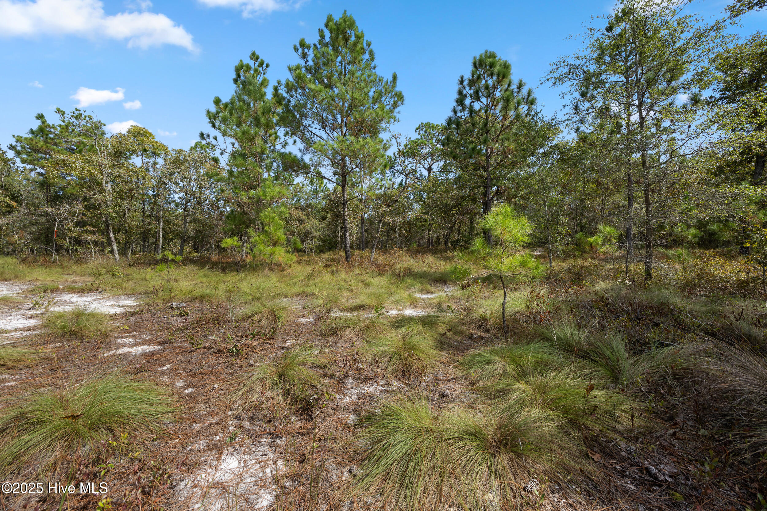 100536371 | Photo 29