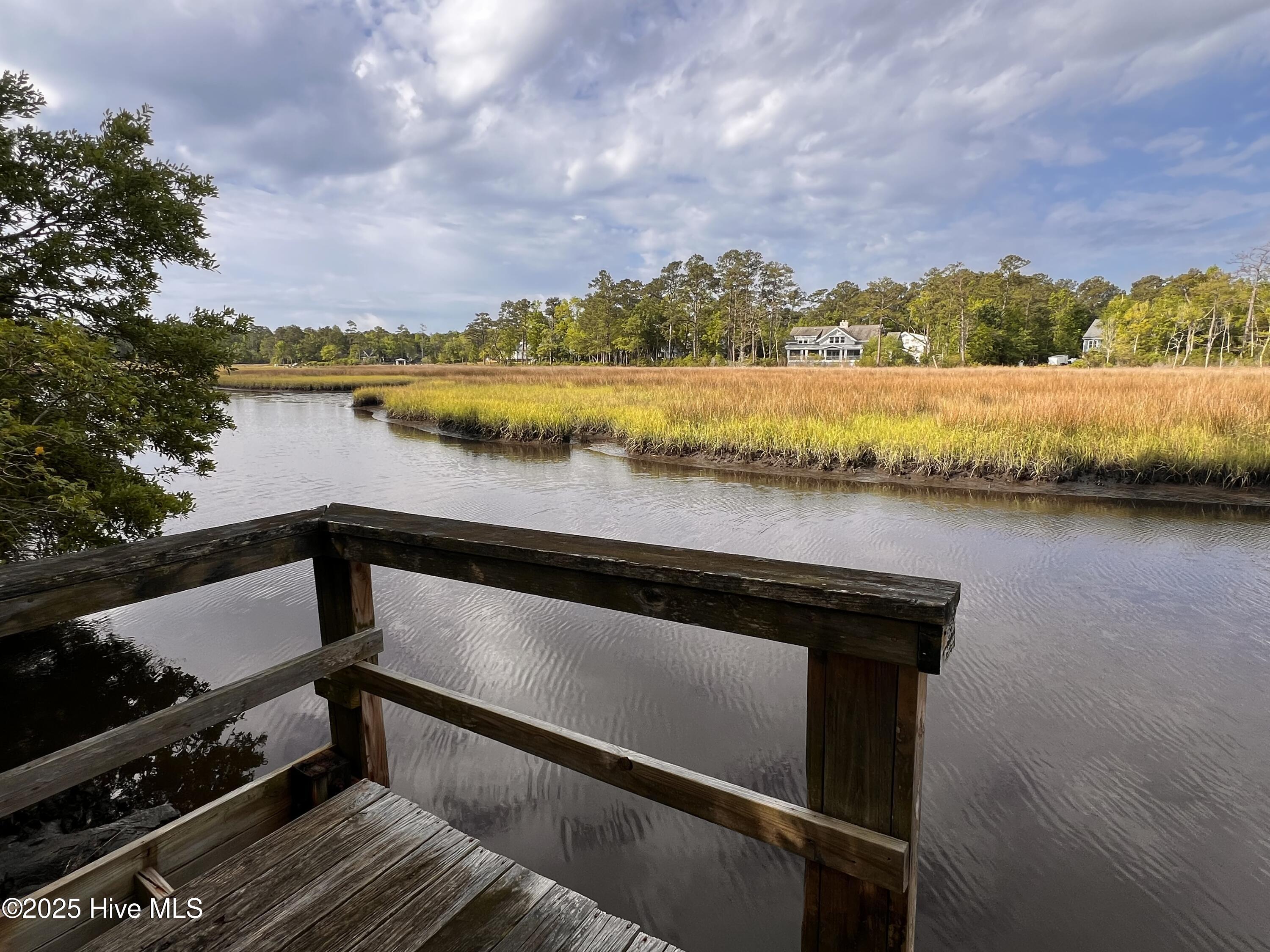 100515334 | Photo 60