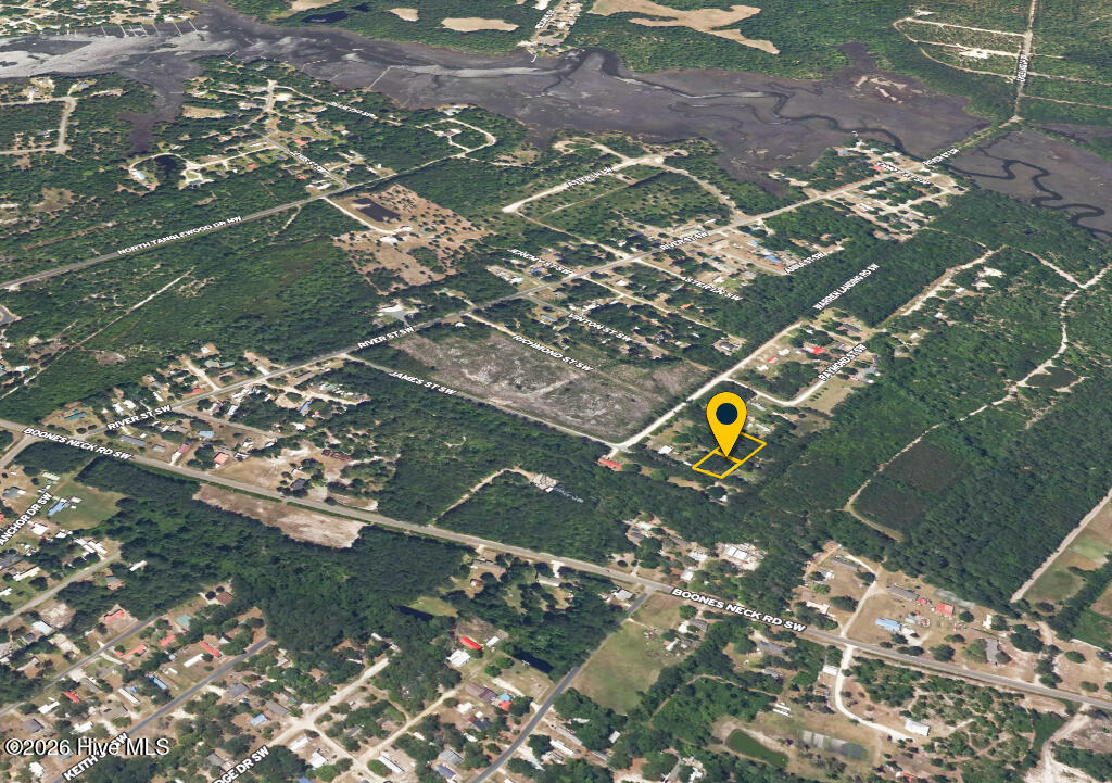 100558327 | Photo 11