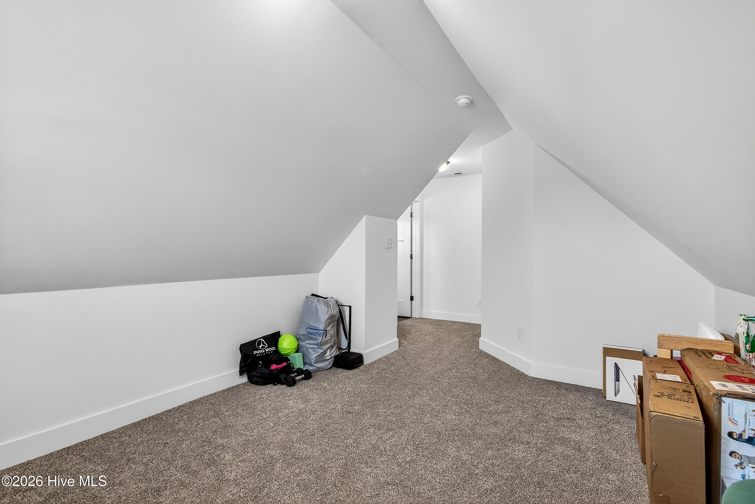 100559668 | Photo 28