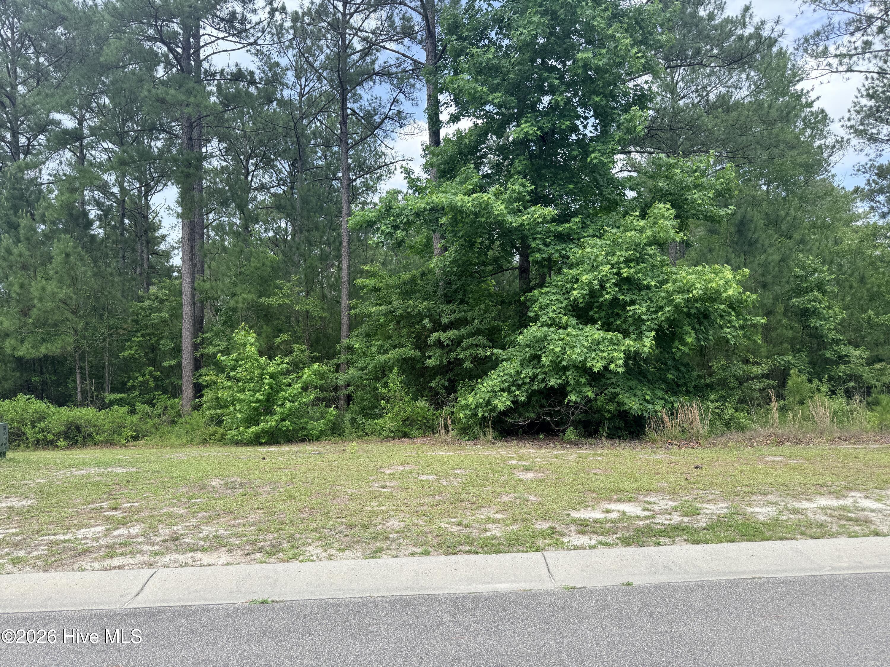 Shirley Johnson - MLS Number: 100556846