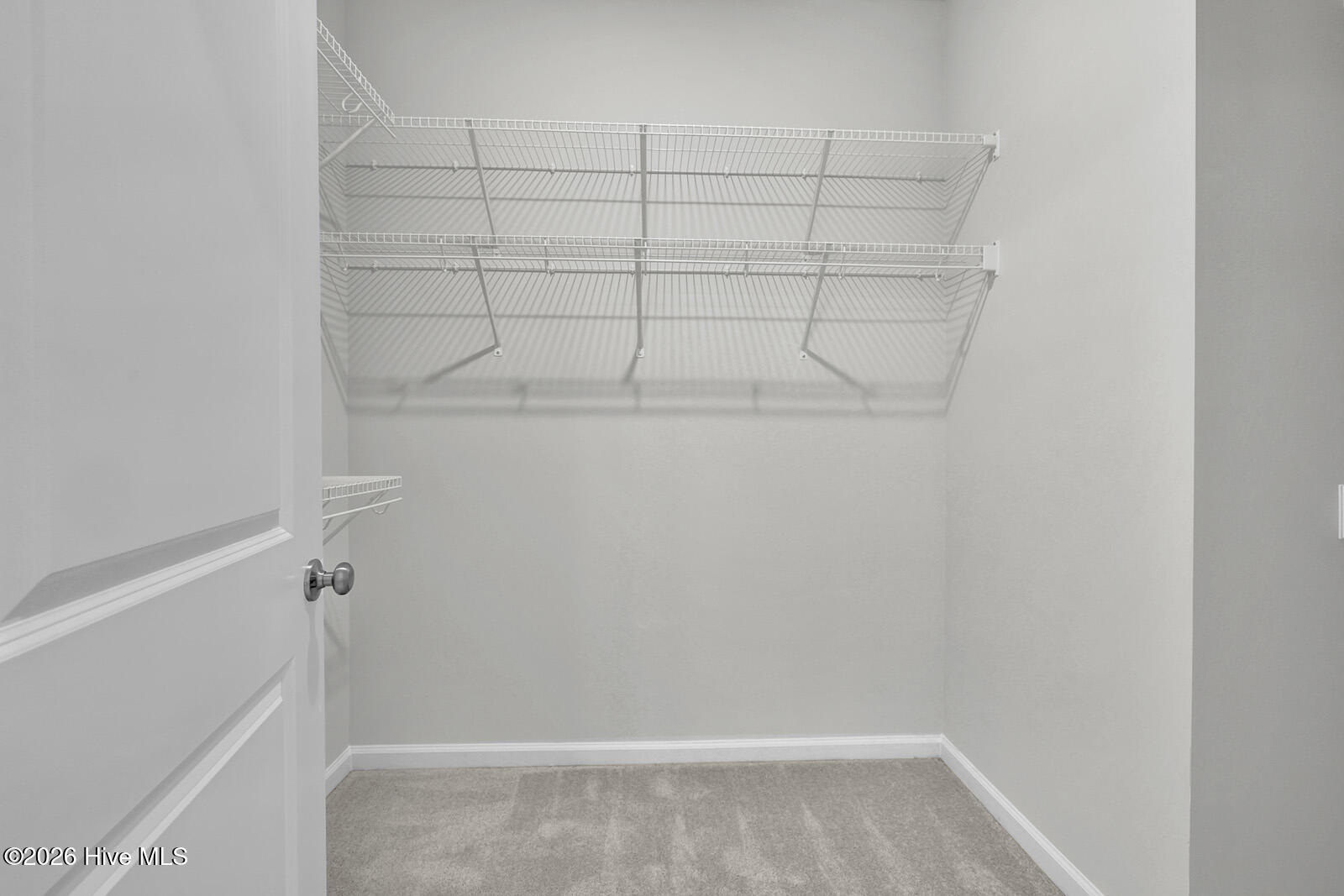 100538172 | Photo 16