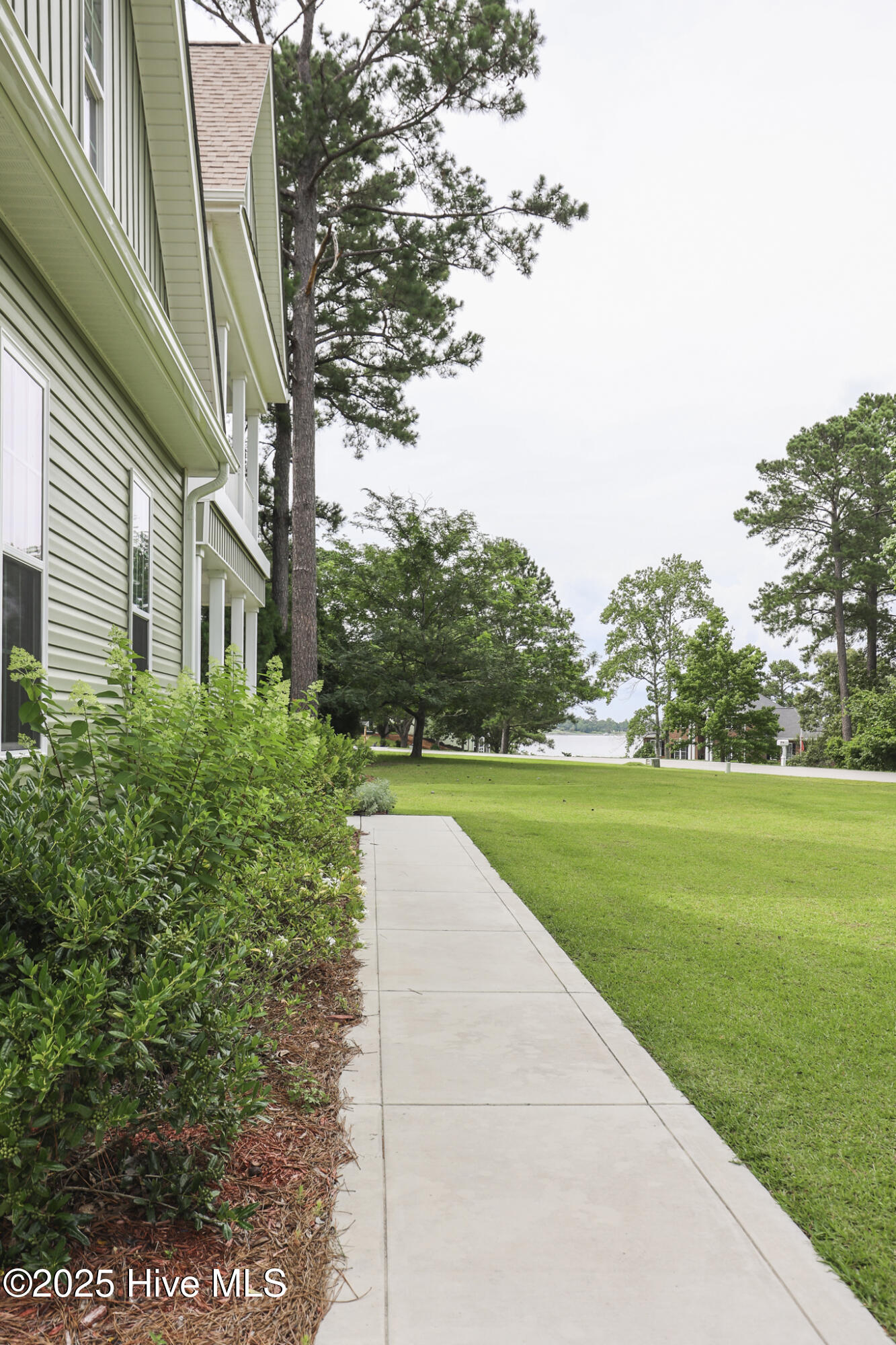 100513900 | Photo 10