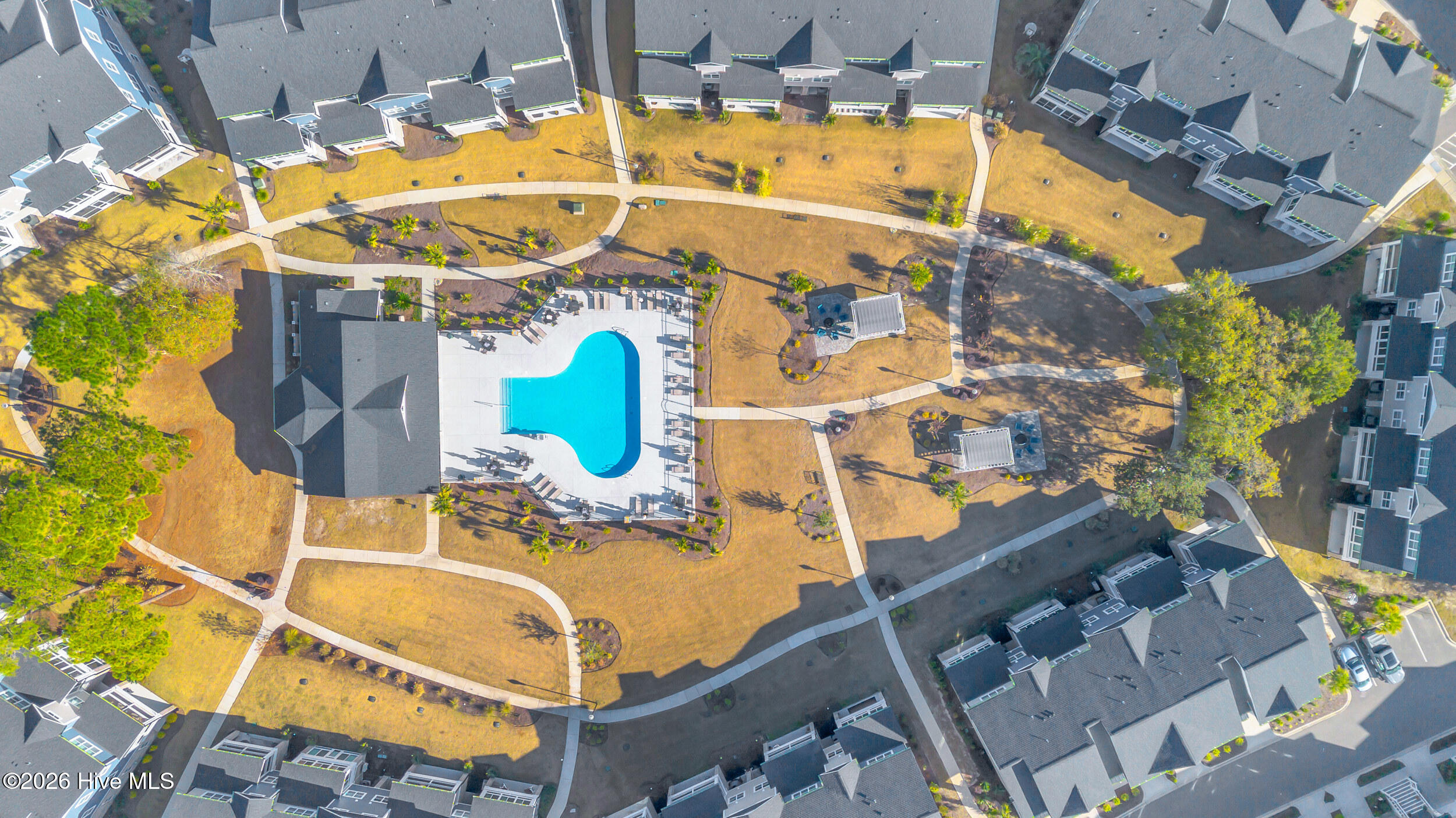 100564154 | Photo 51