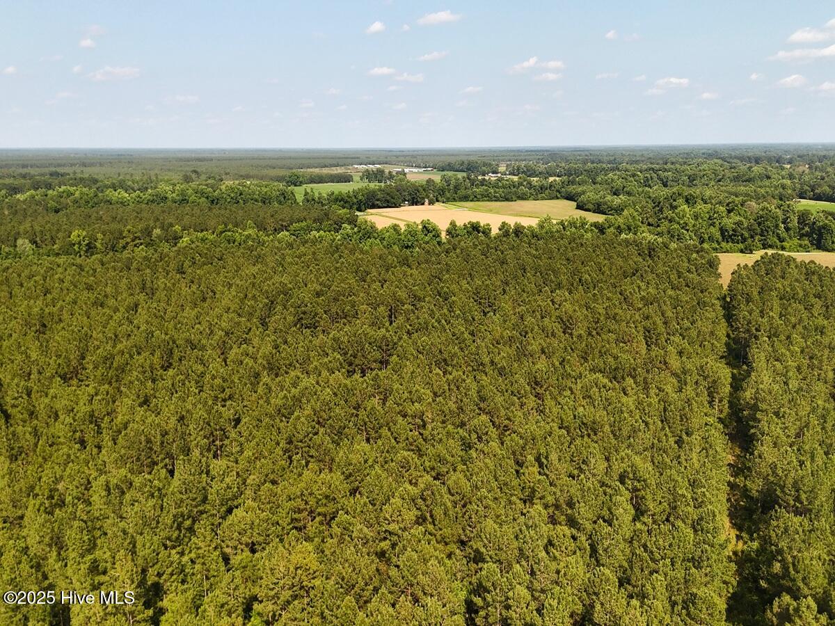 100513588 | Photo 19