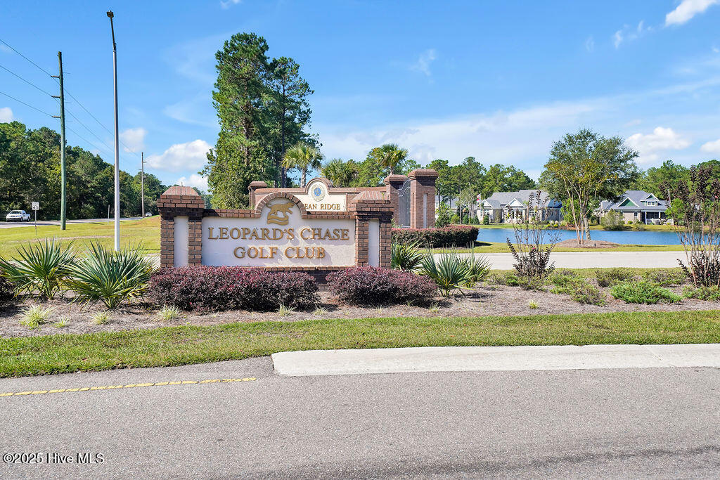 100535984 | Photo 116