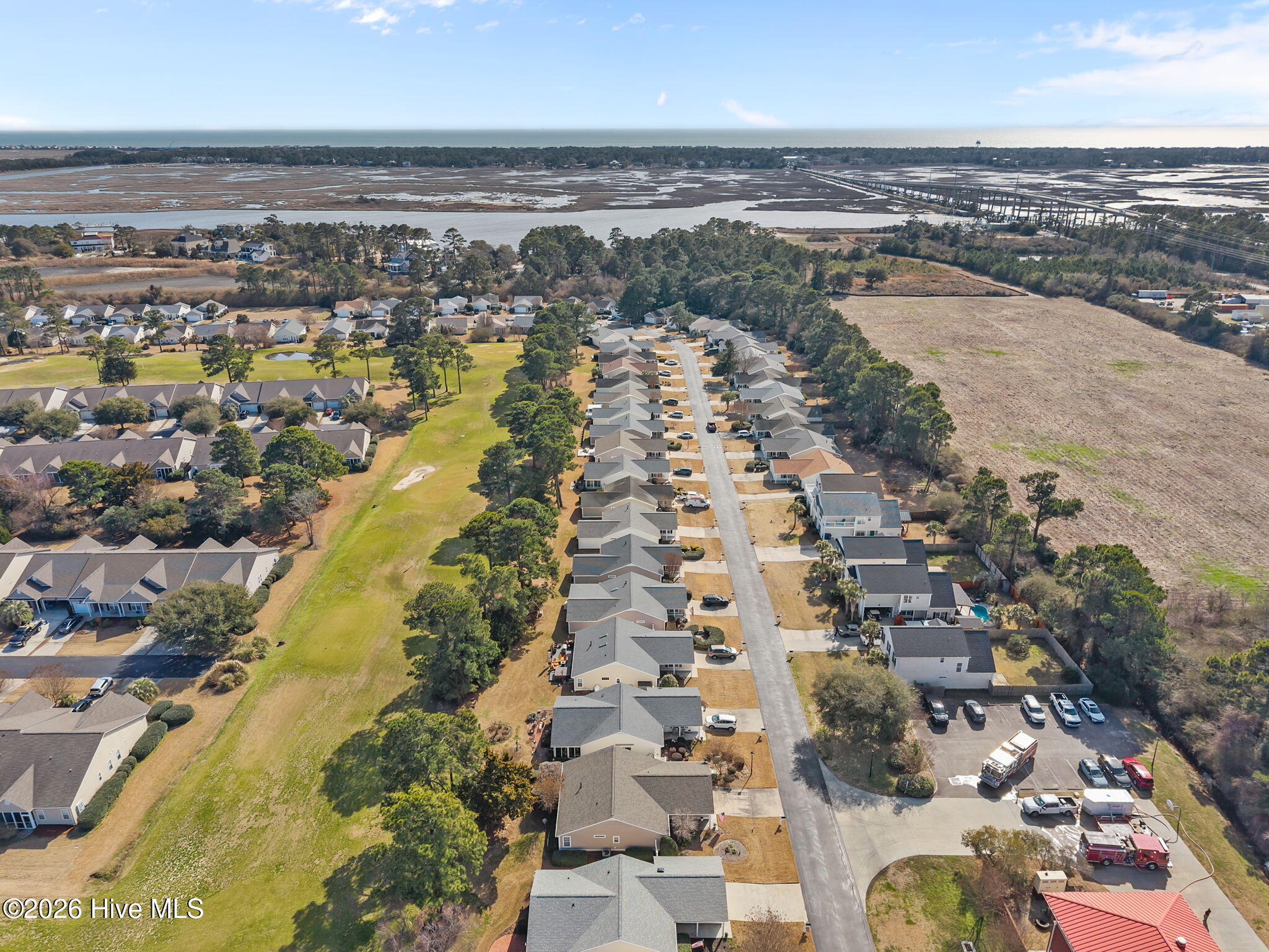 100556282 | Photo 11