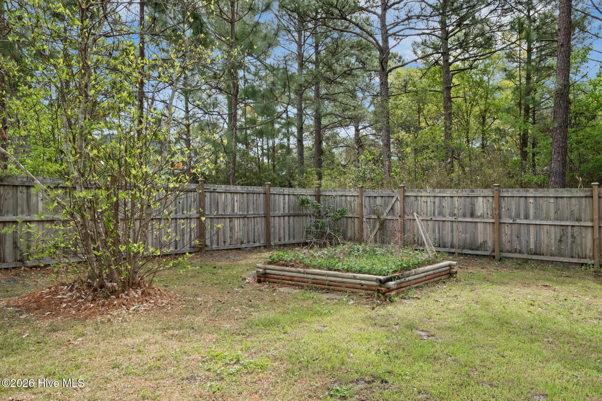 100566608 | Photo 46