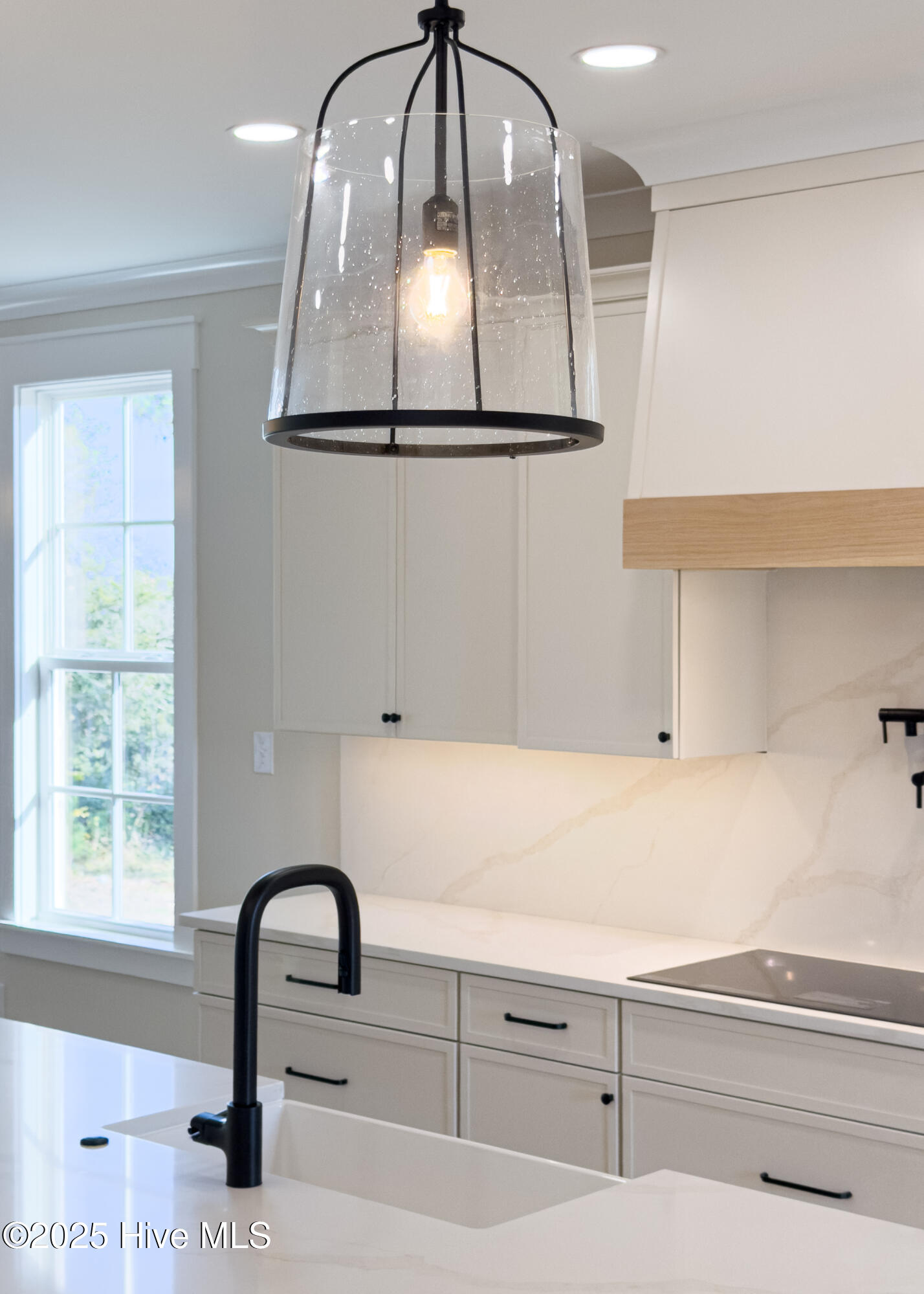 100525288 | Photo 35