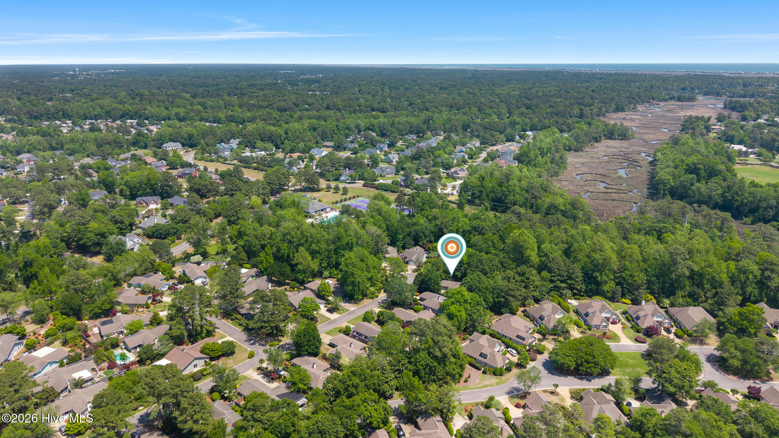 100569768 | Photo 40