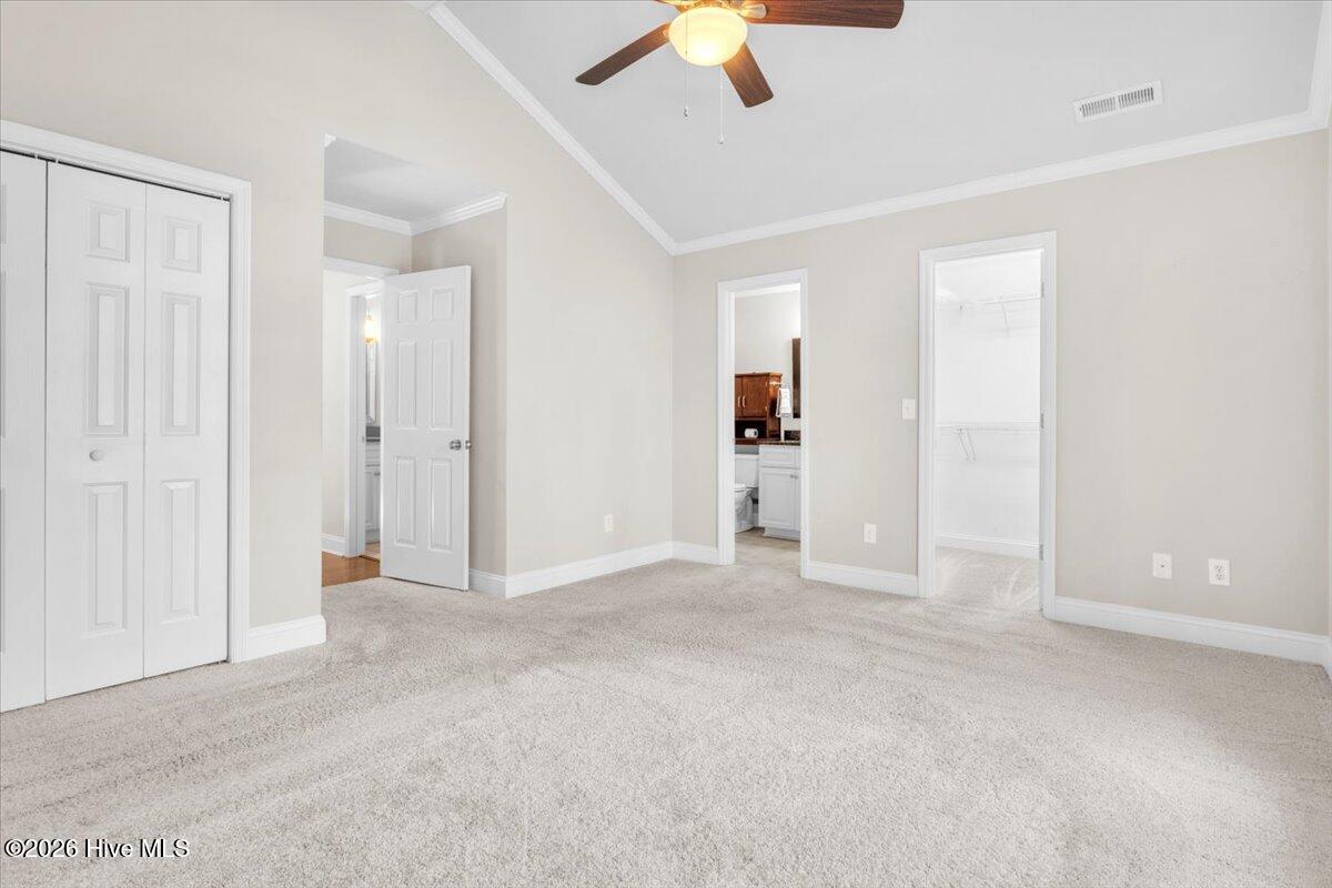 100556413 | Photo 38