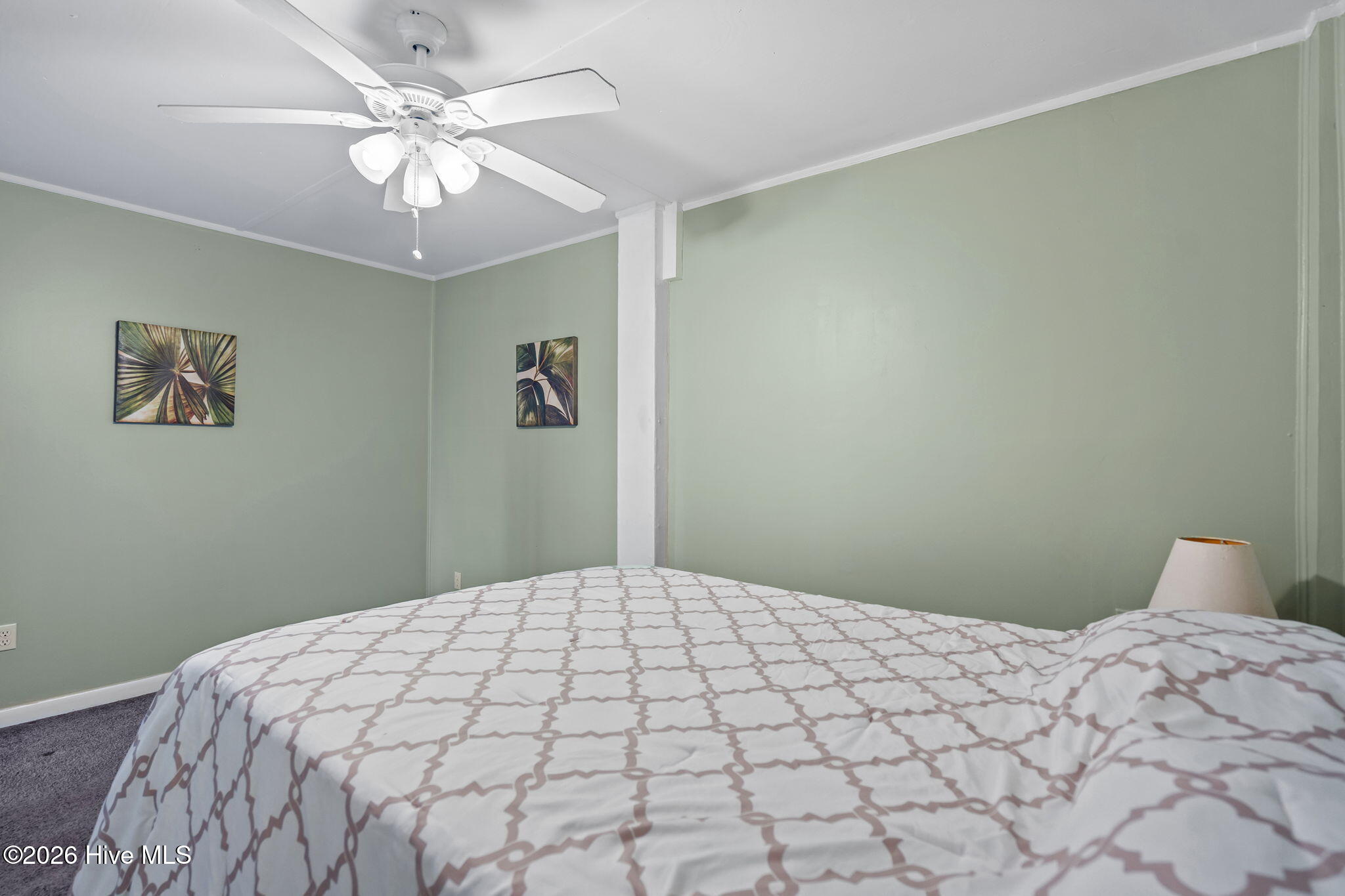 100555600 | Photo 57