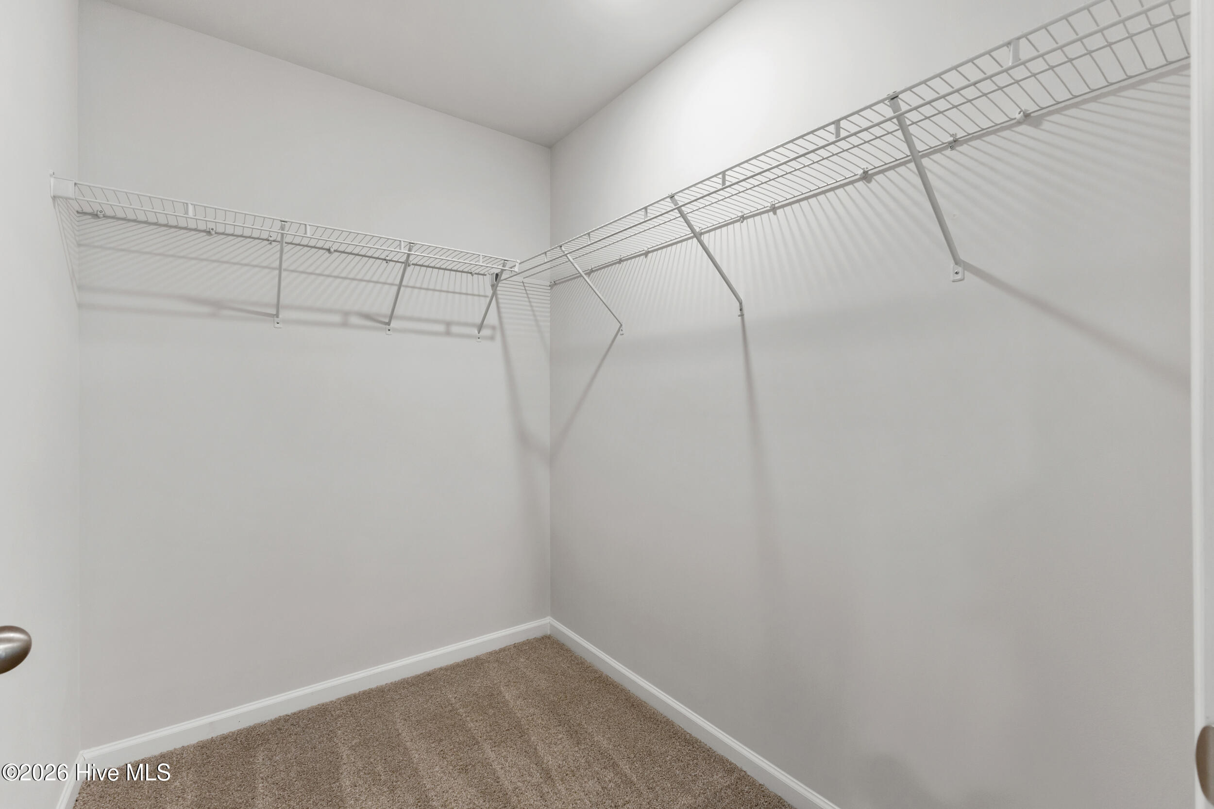 100547878 | Photo 17