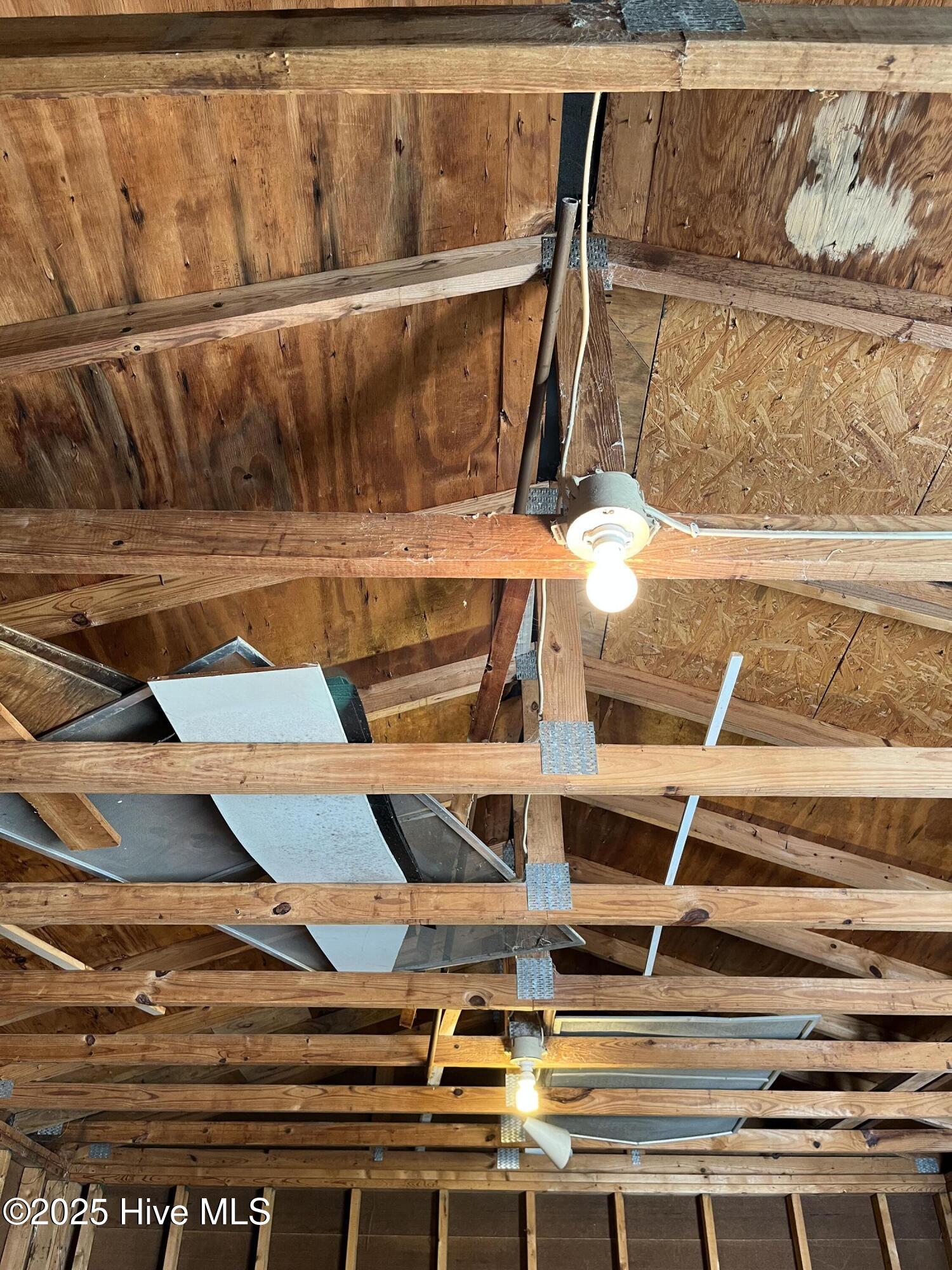 100536383 | Photo 33