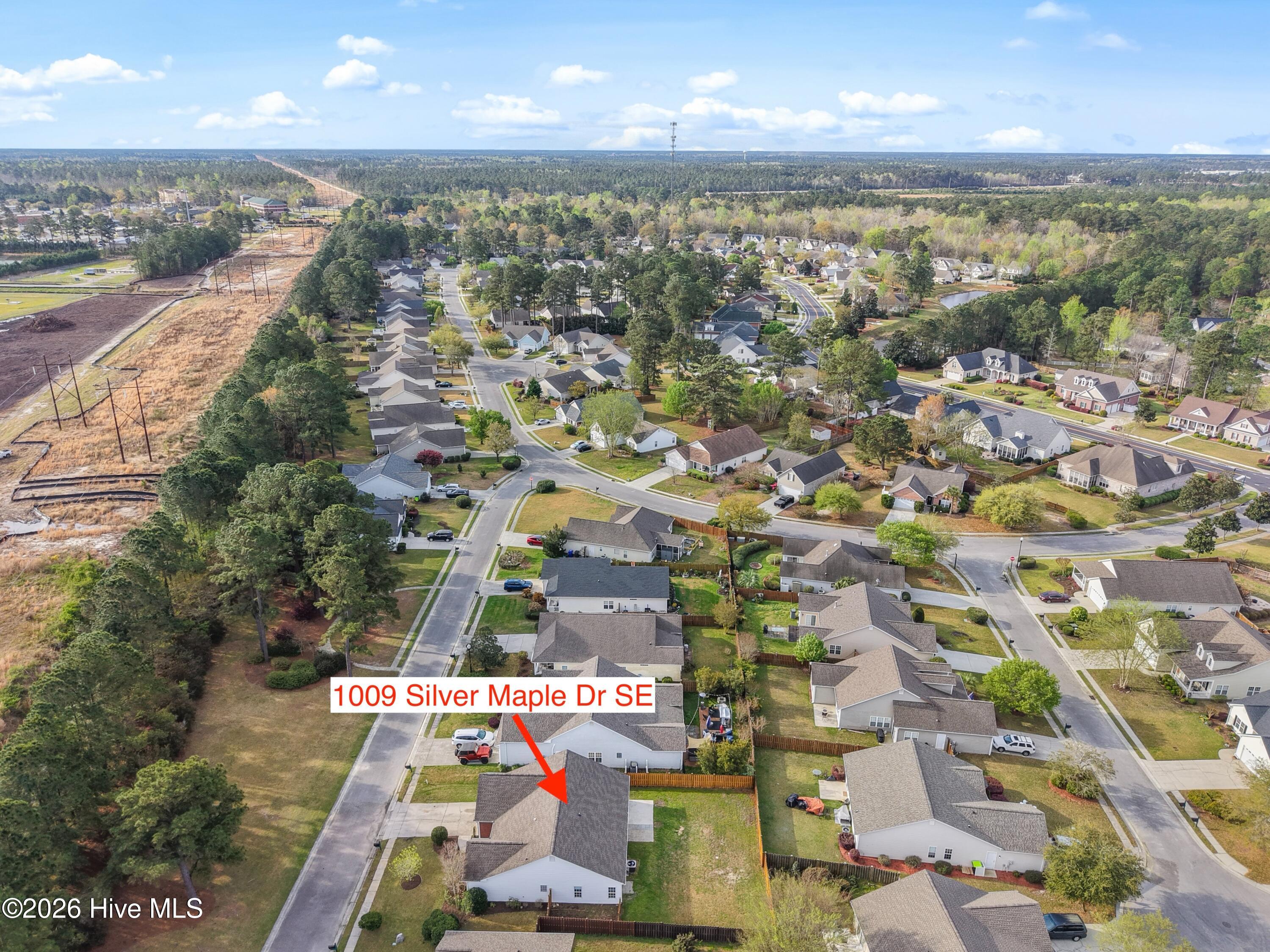 100562545 | Photo 46