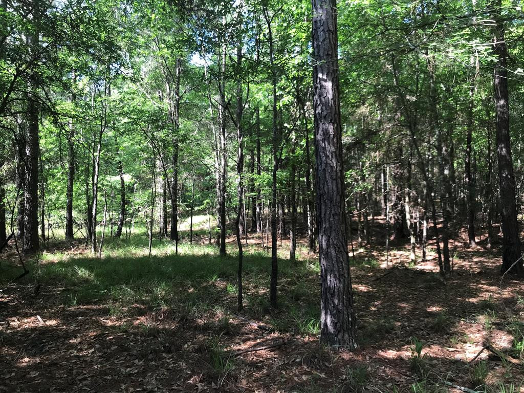 Lot 102 Seminole Drive, Lincolnton, GA 30817 Listing Photo  1