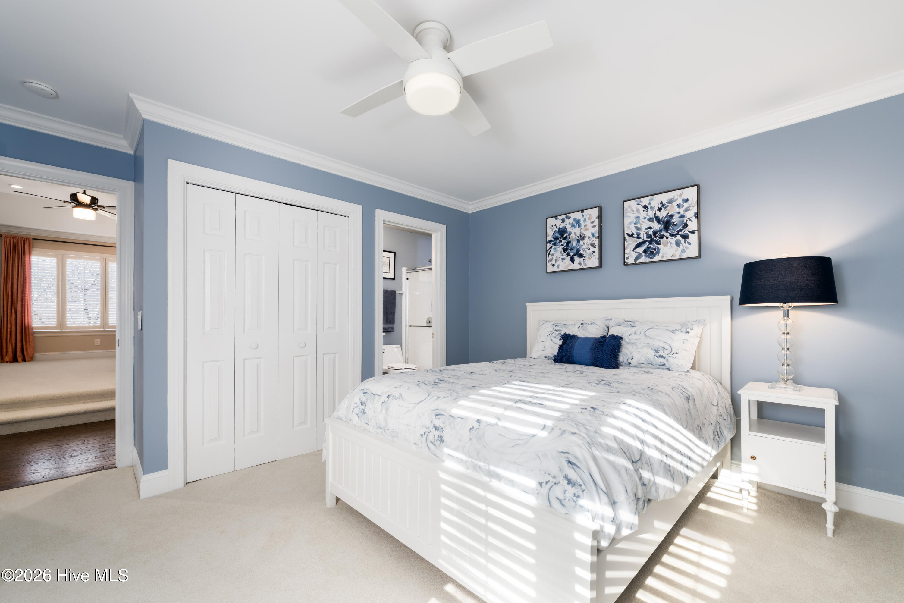 100553982 | Photo 33