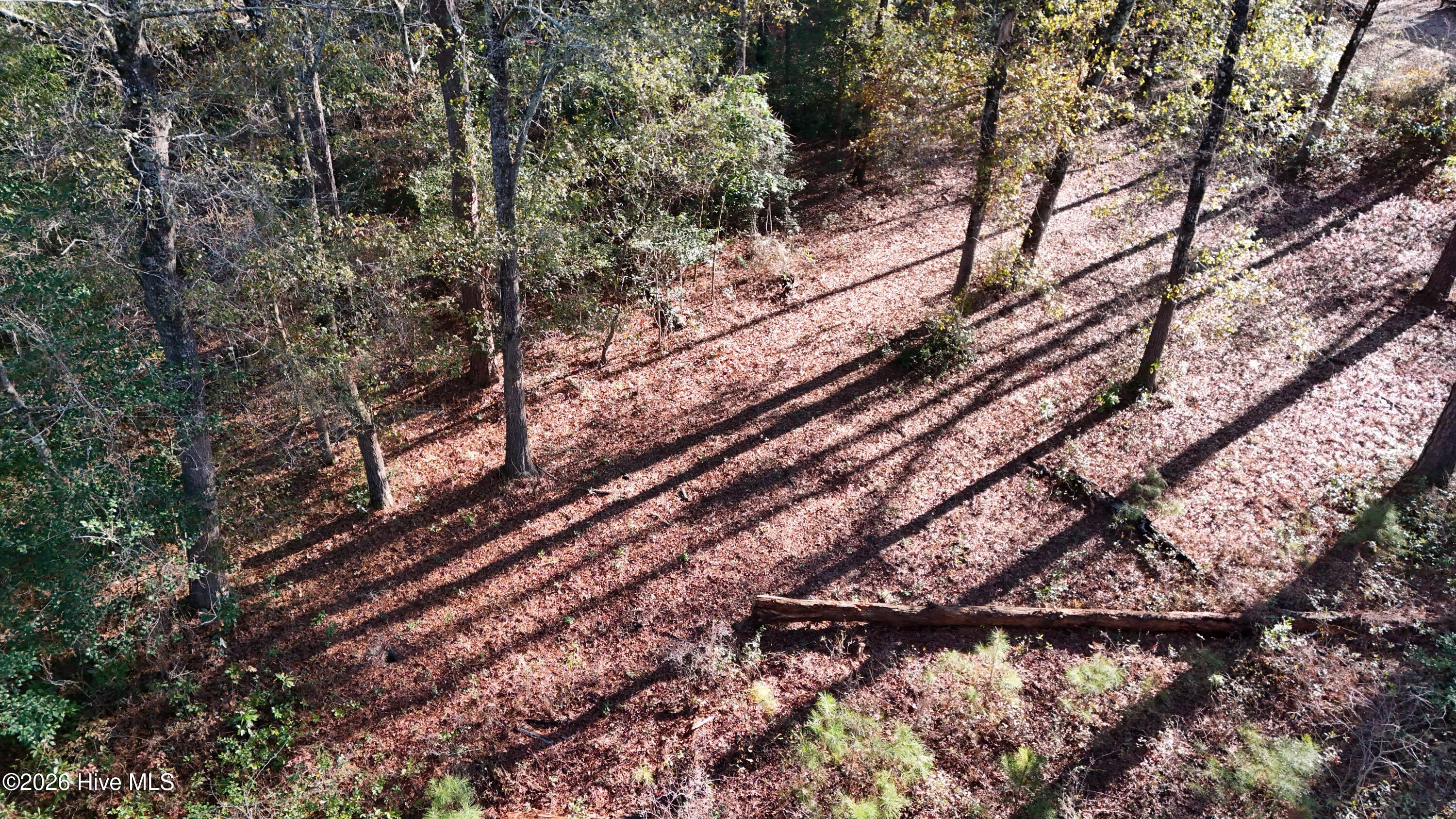 100556794 | Photo 27