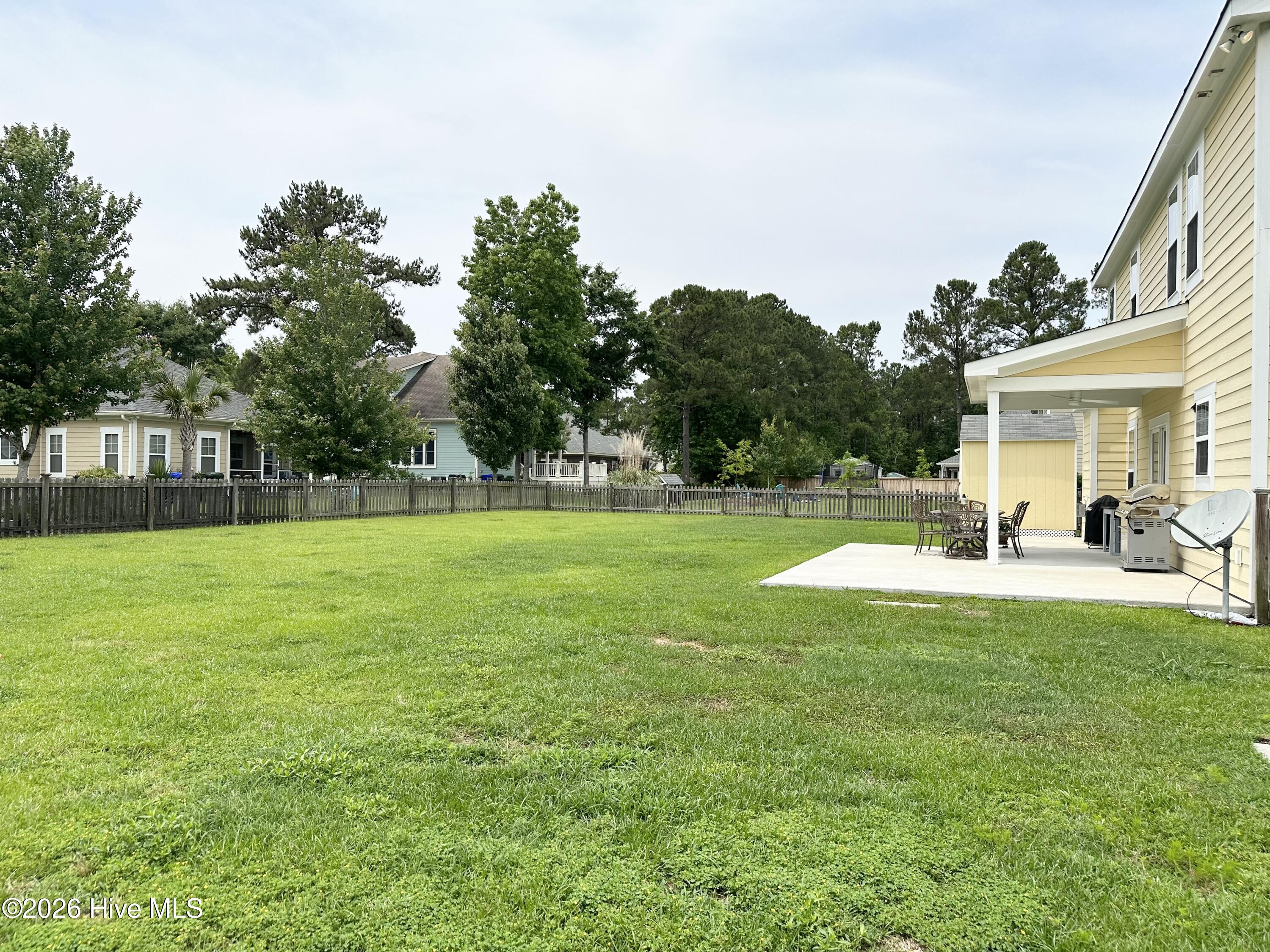 100563138 | Photo 37