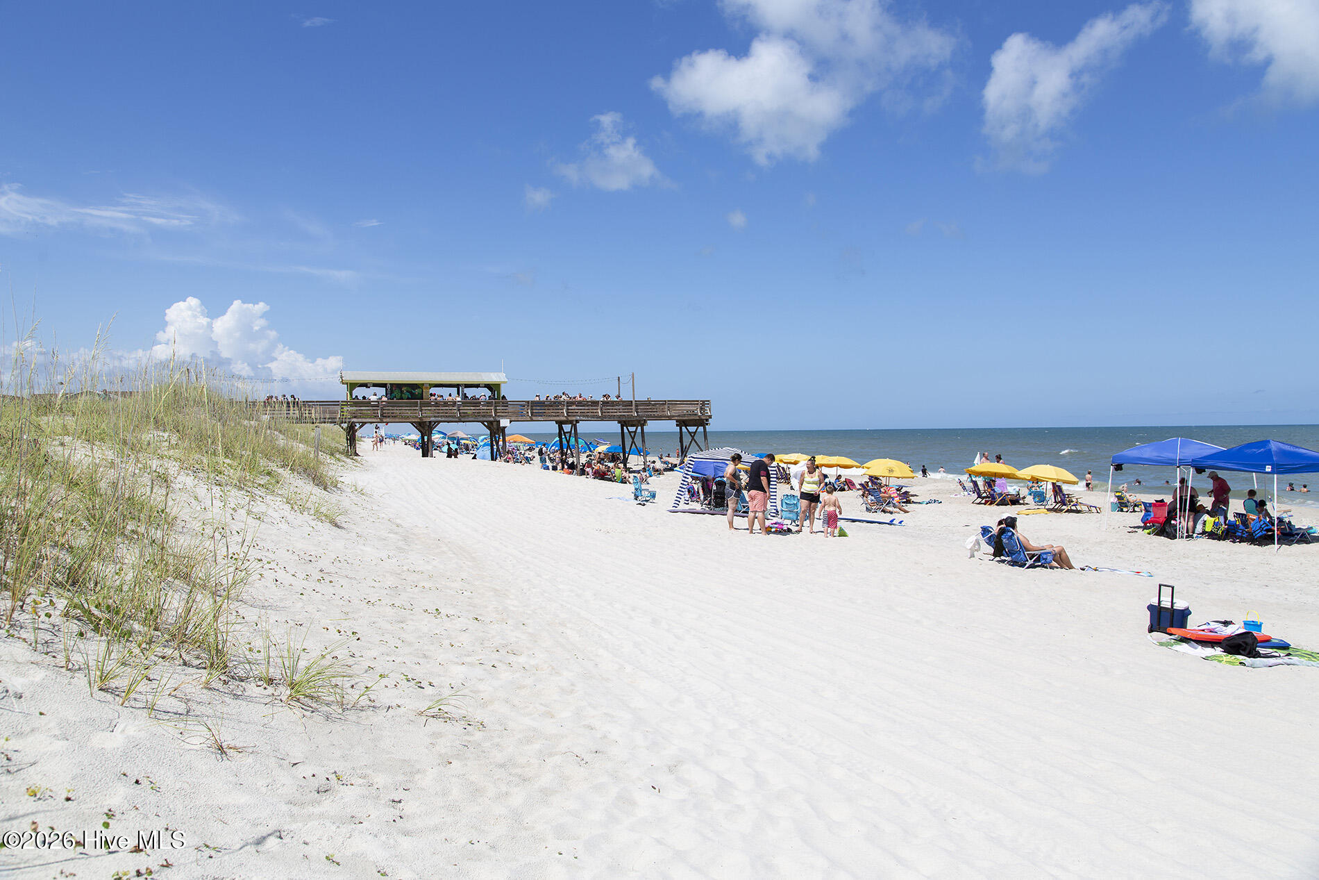 100562975 | Photo 70