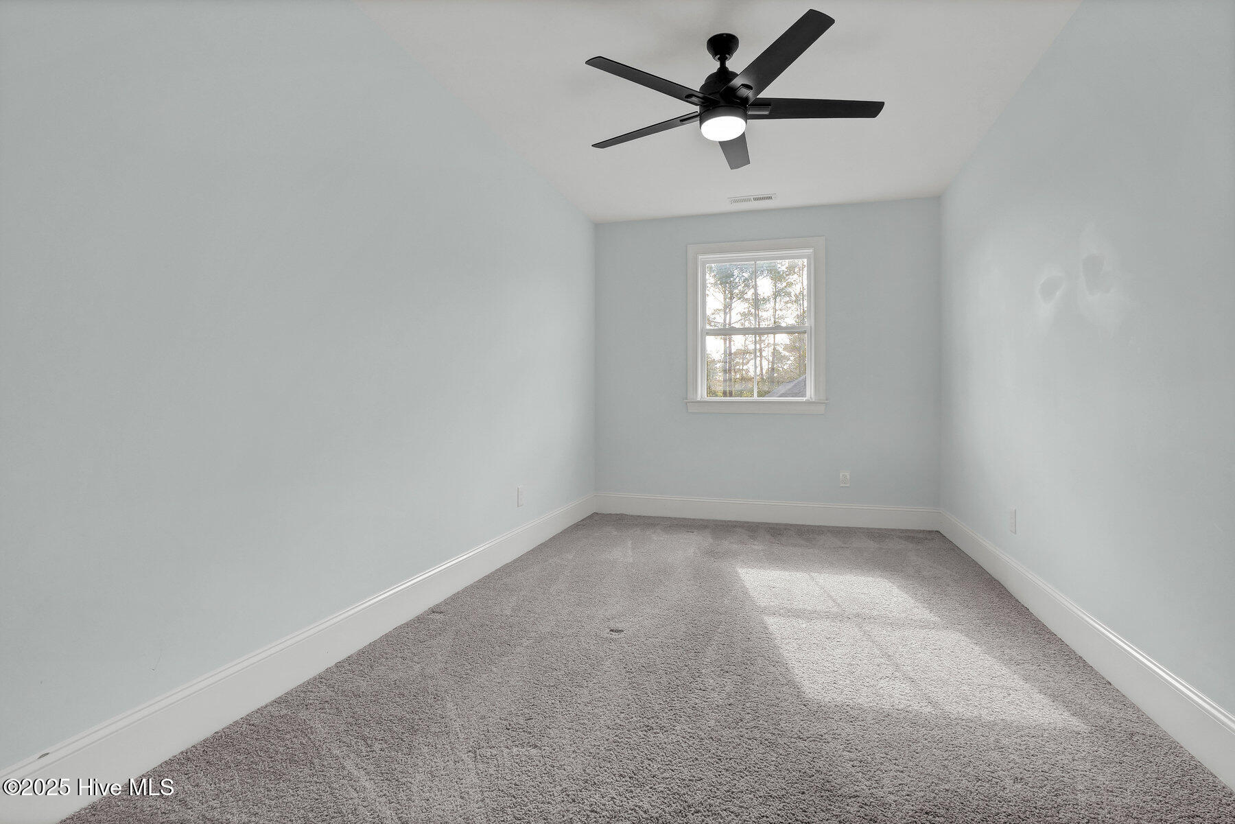 100544096 | Photo 35