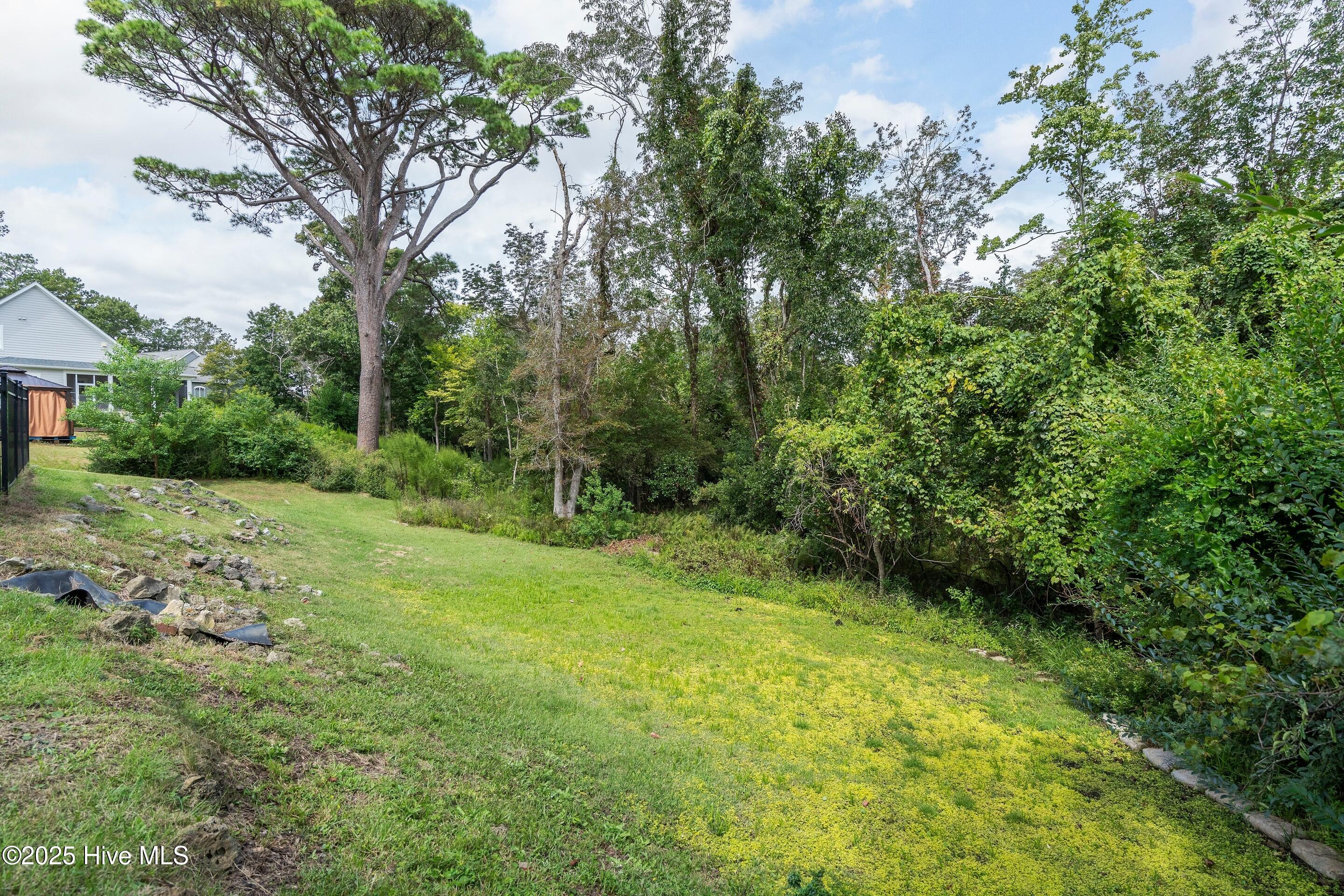 100530044 | Photo 50