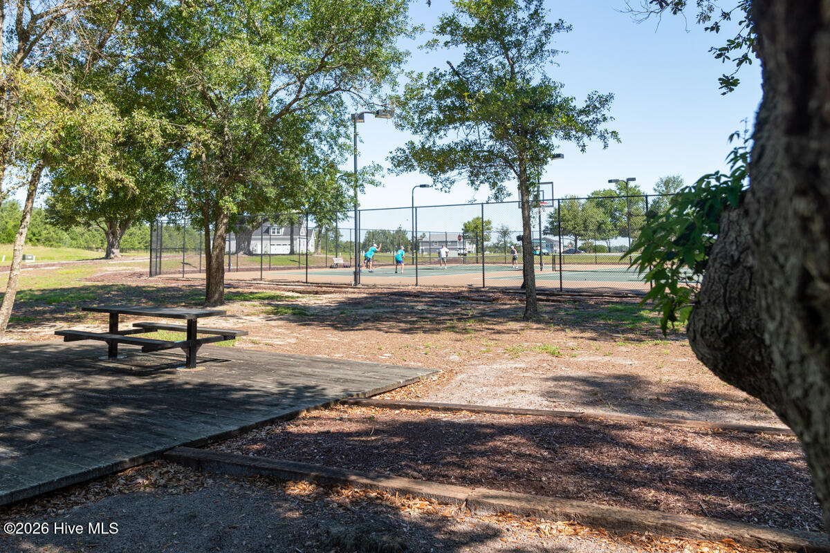 100553596 | Photo 55