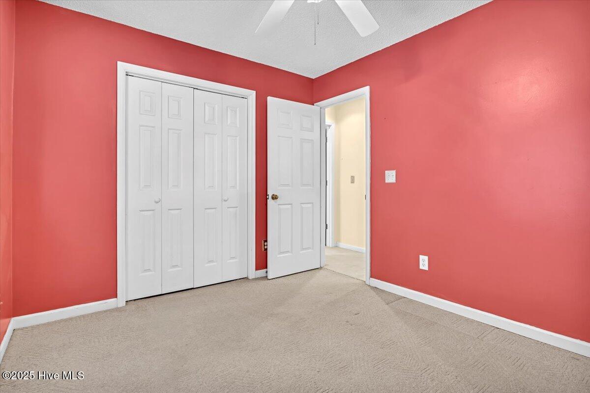 100543778 | Photo 31