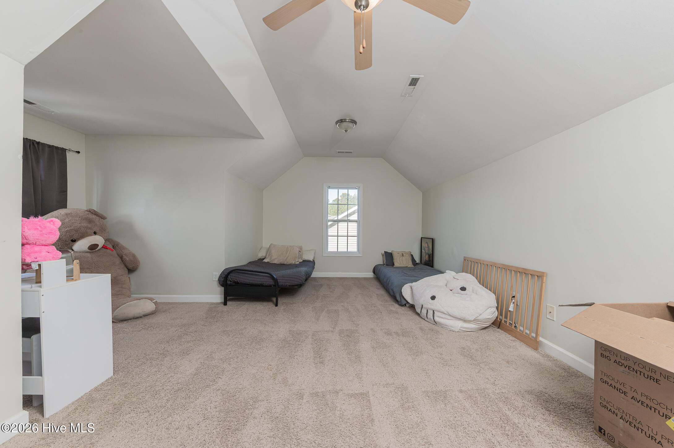 100554733 | Photo 34